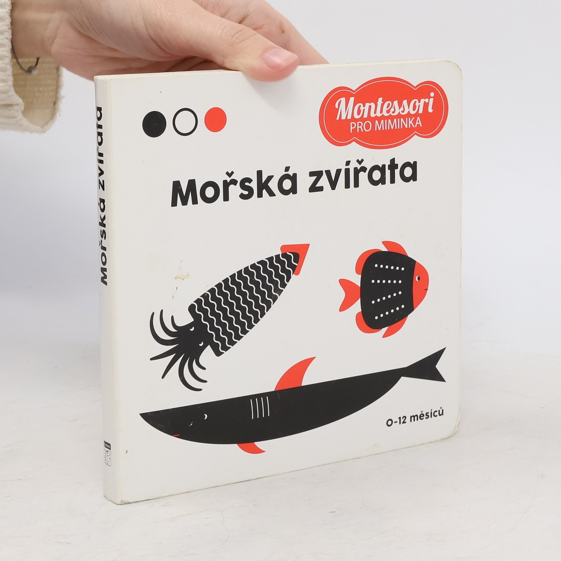 Agnese Baruzzi Mořská zvířata