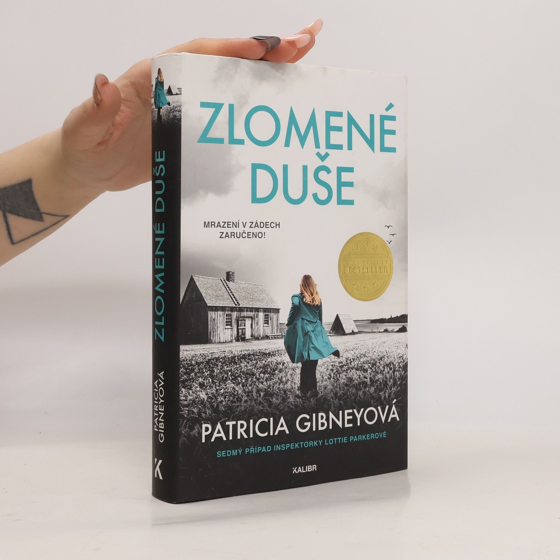 Patricia Gibney Zlomené Duše