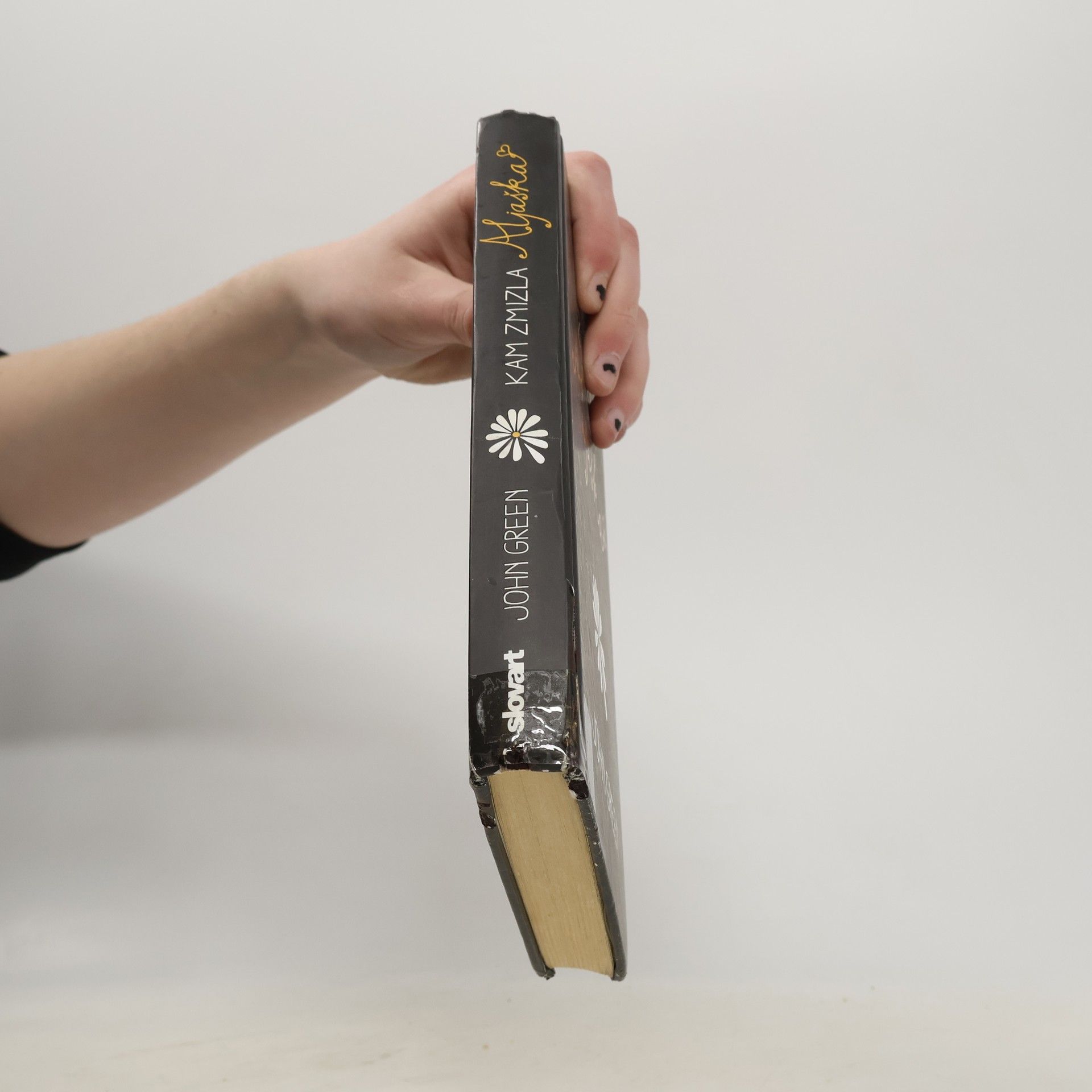 John Green Kam zmizla Aljaška