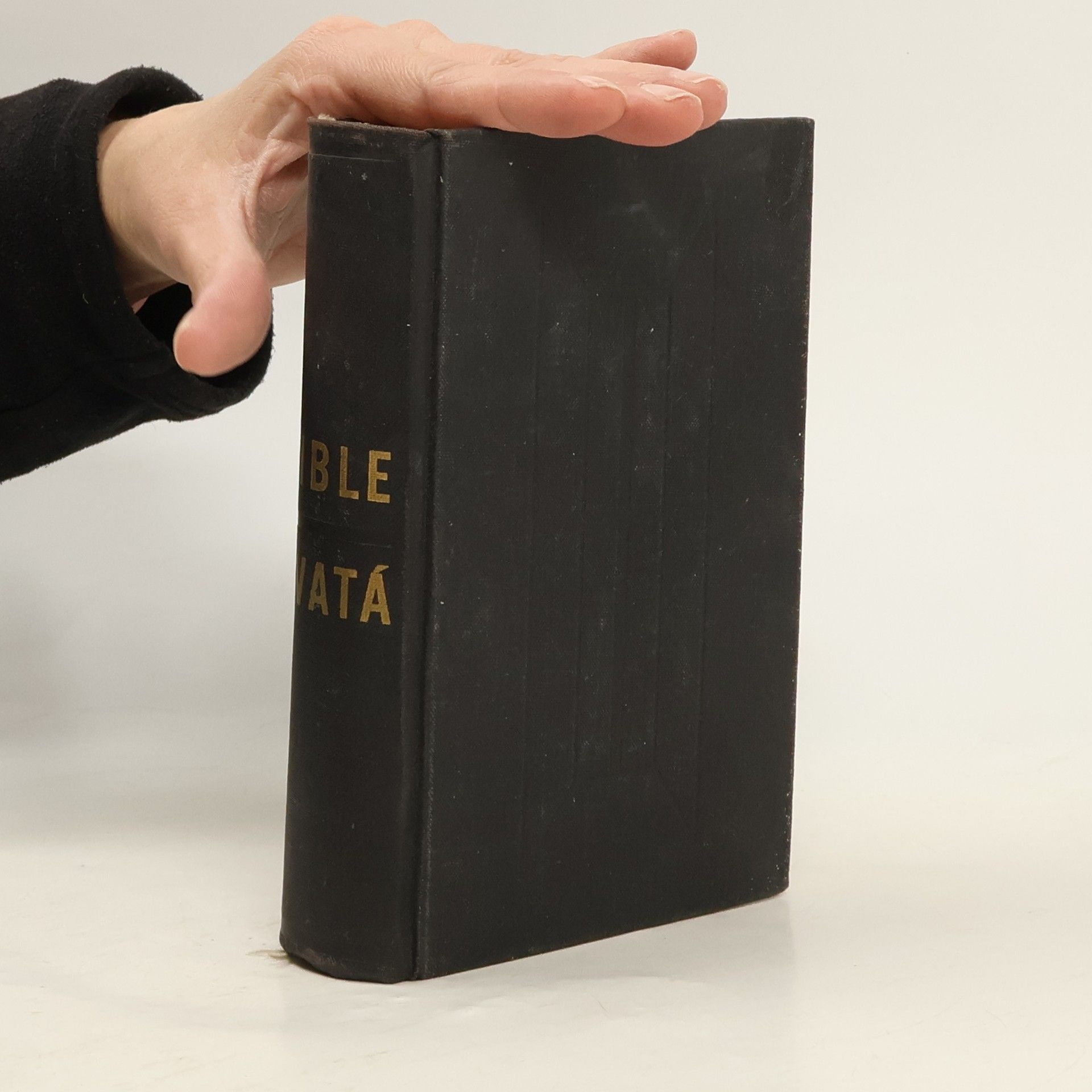 kolektiv Bible svatá aneb Všecka Svatá písma Starého i Nového zákona