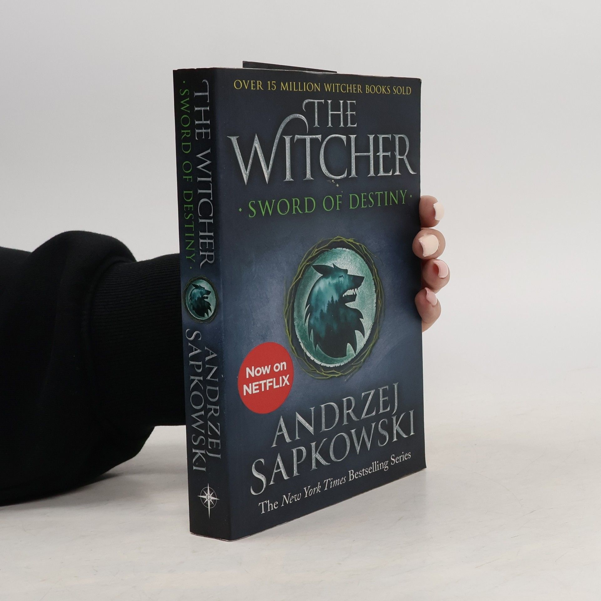 Andrzej Sapkowski The Witcher: Sword of destiny