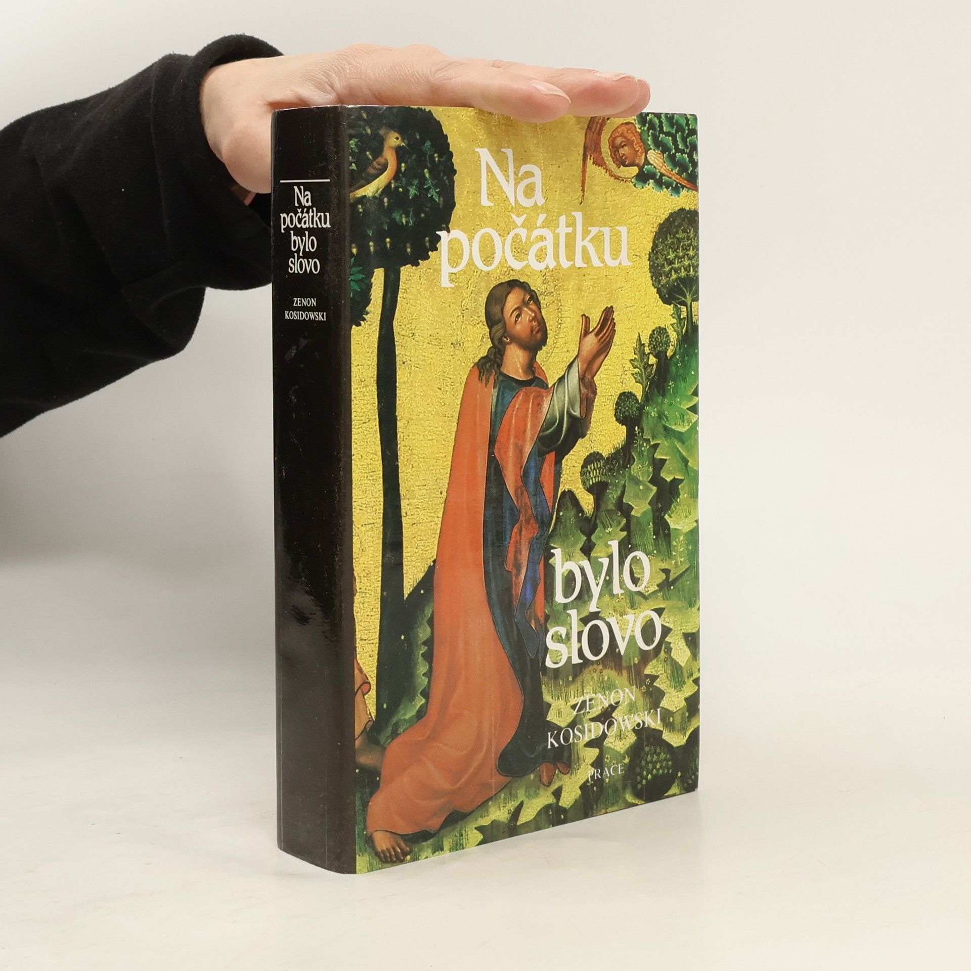 Zenon Kosidowski Na počátku bylo slovo
