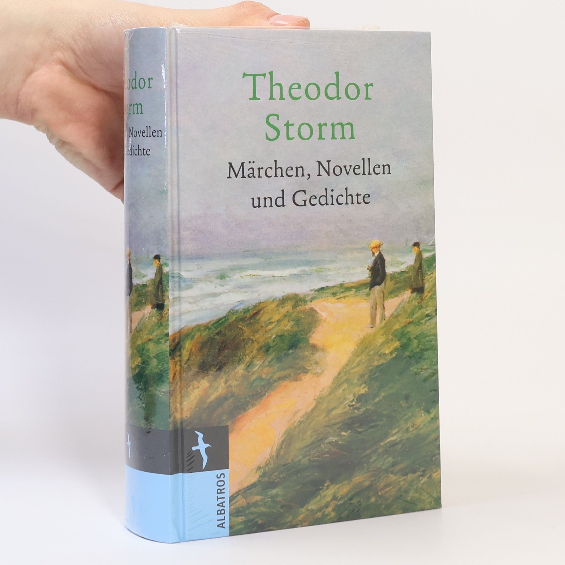 Theodor Storm Märchen, Novellen und Gedichte