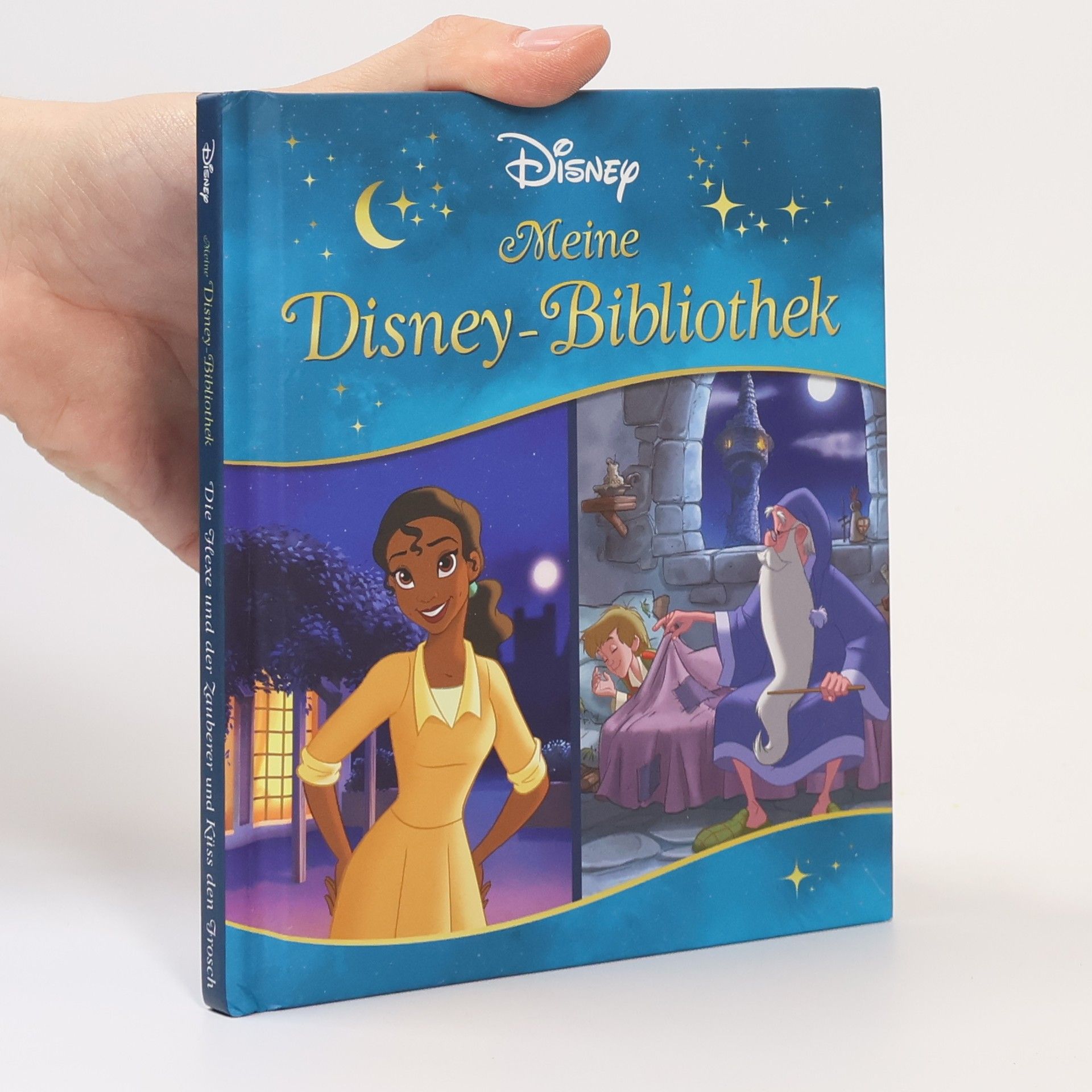 Autorenkollektiv Meine Disney-Bibliothek