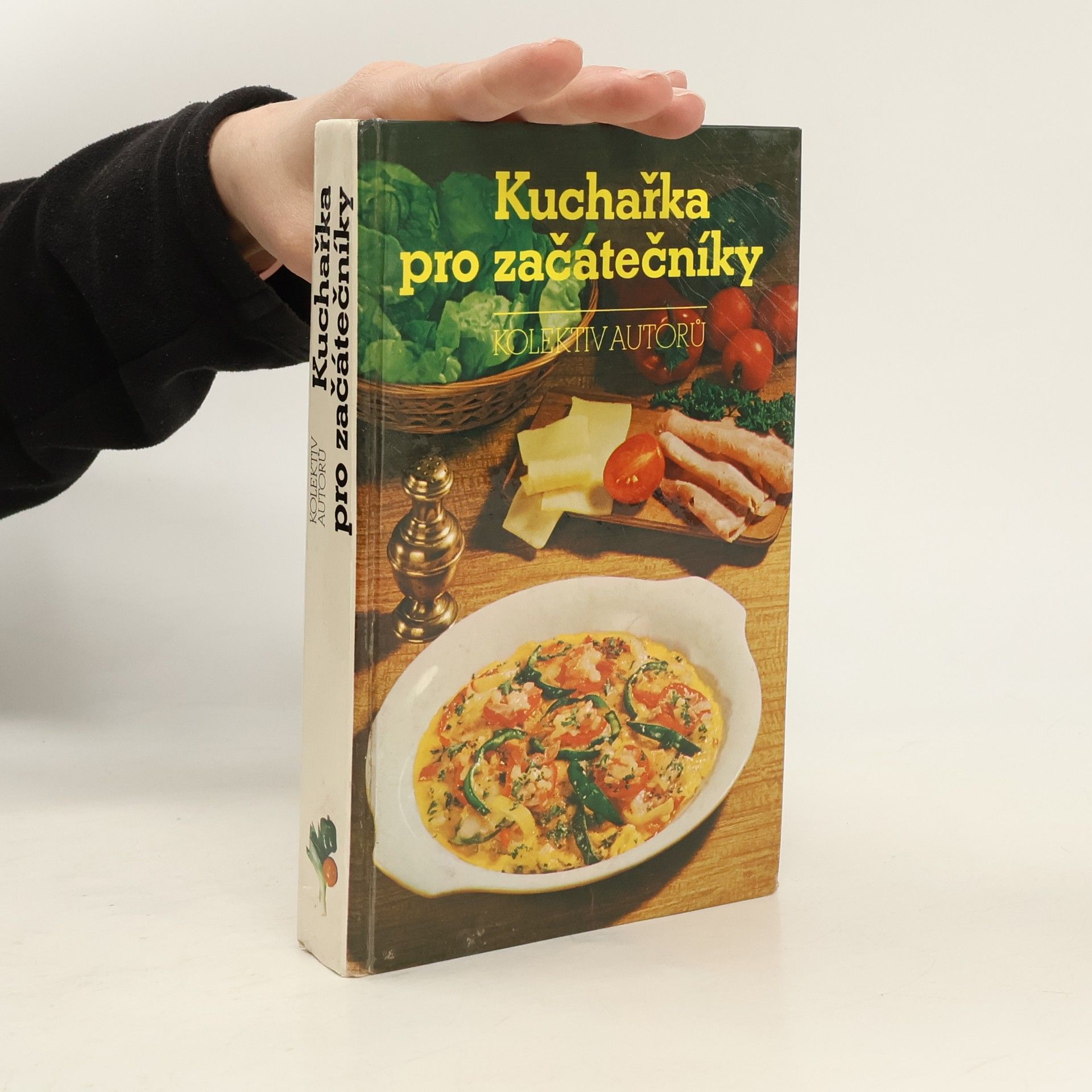 Marie Voldánová Kuchařka pro začátečníky