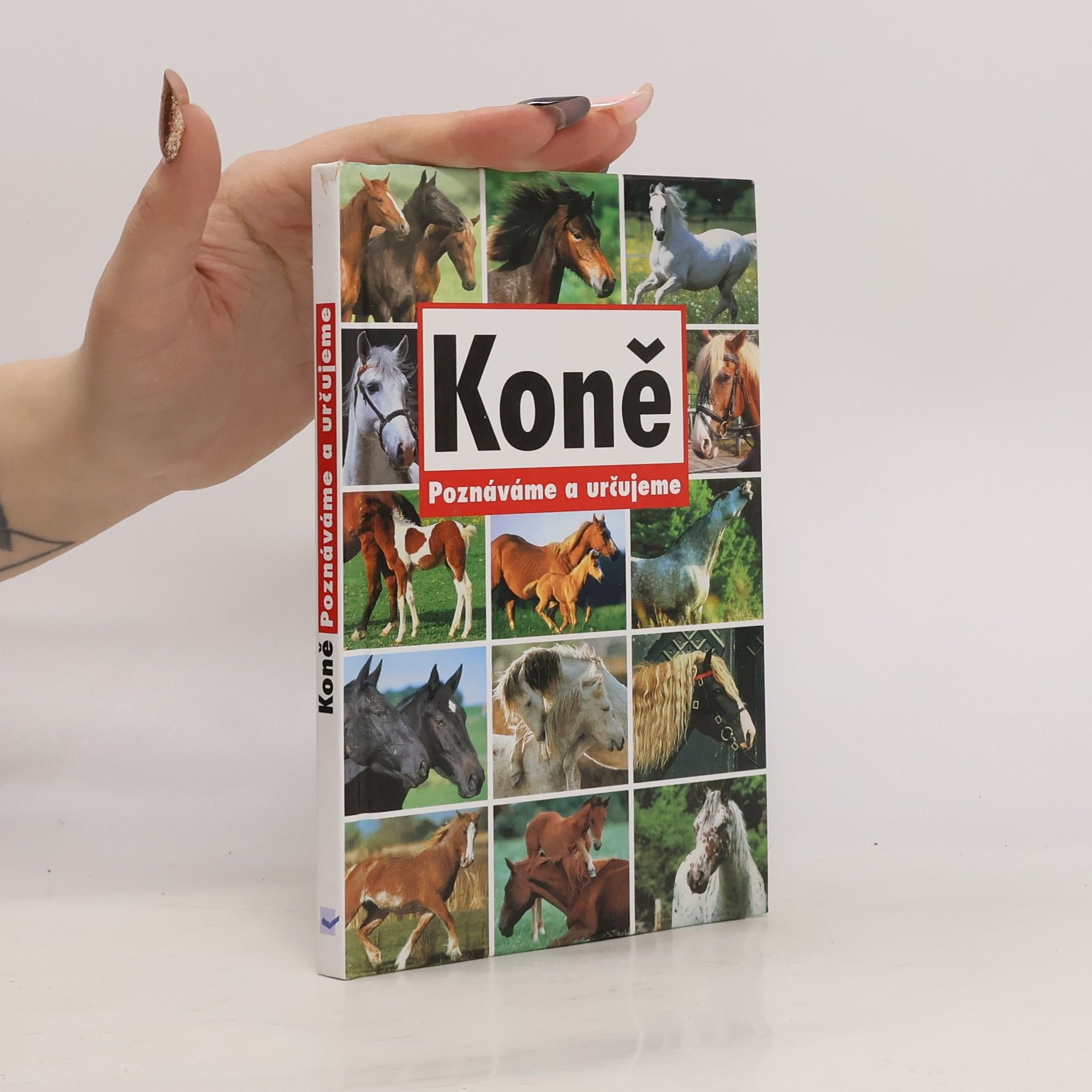 kolektiv Koně - Poznáváme a určujeme