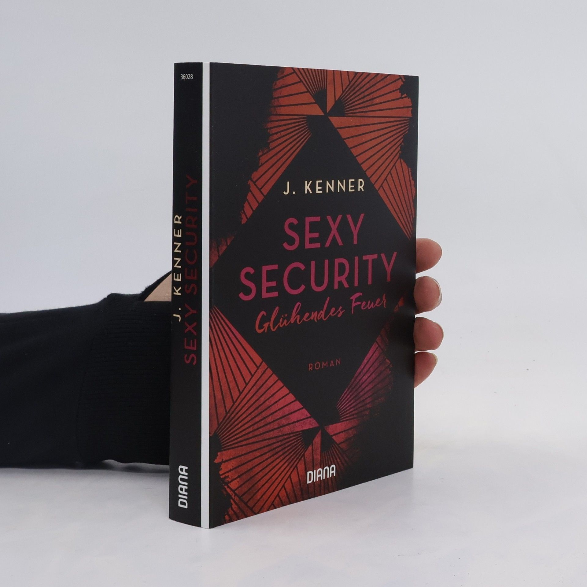 Julie Kenner Sexy Security. Glühendes Feuer - Roman