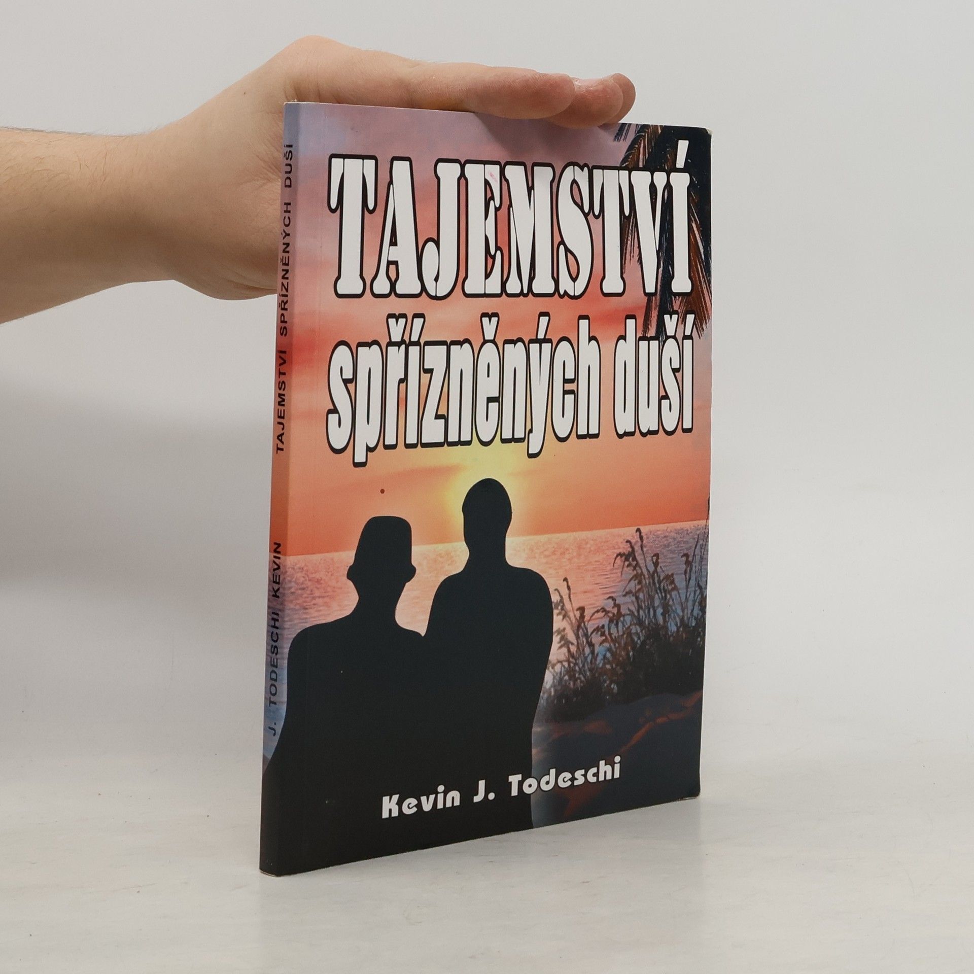 Kevin J. Todeschi Tajemství spřízněných duší