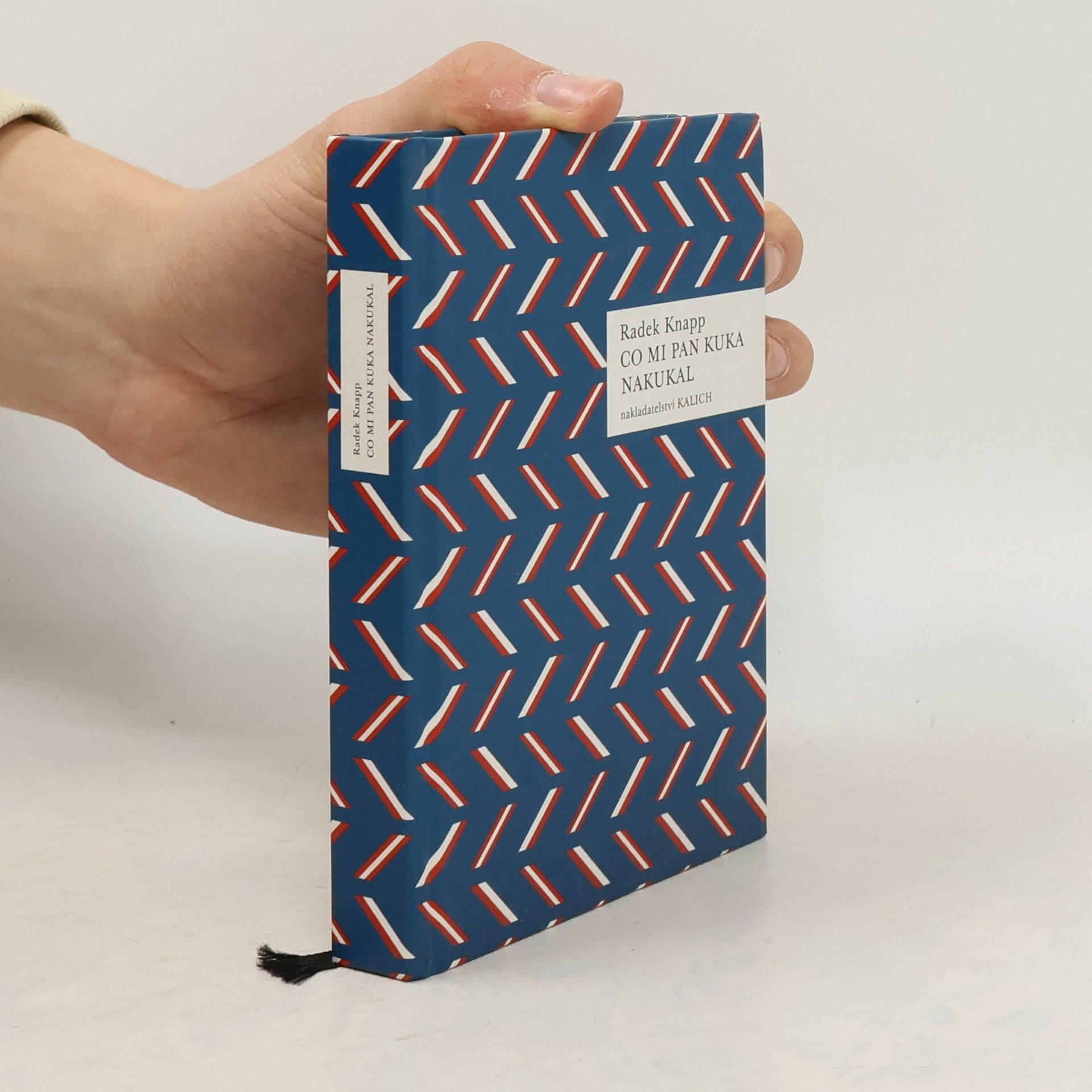 Radek Knapp Co mi pan Kuka nakukal