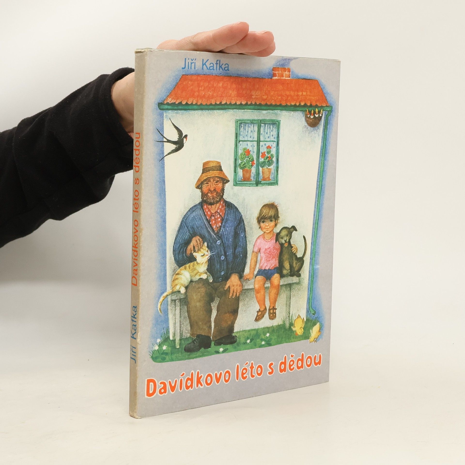 Davídkovo léto s dědou