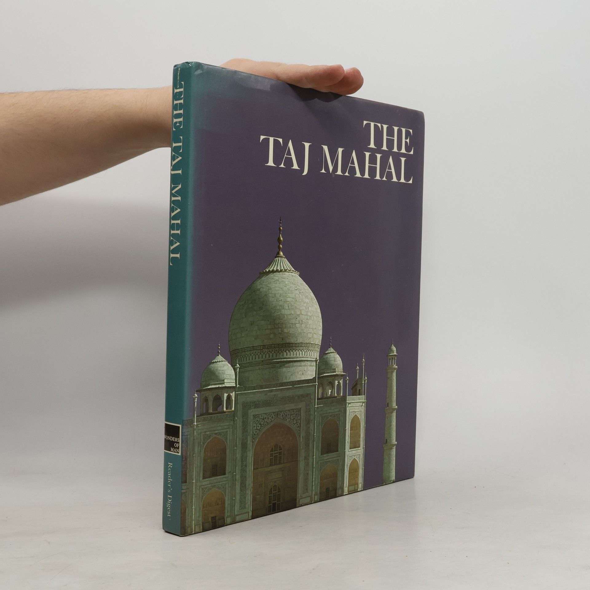 David Carroll The Taj Mahal