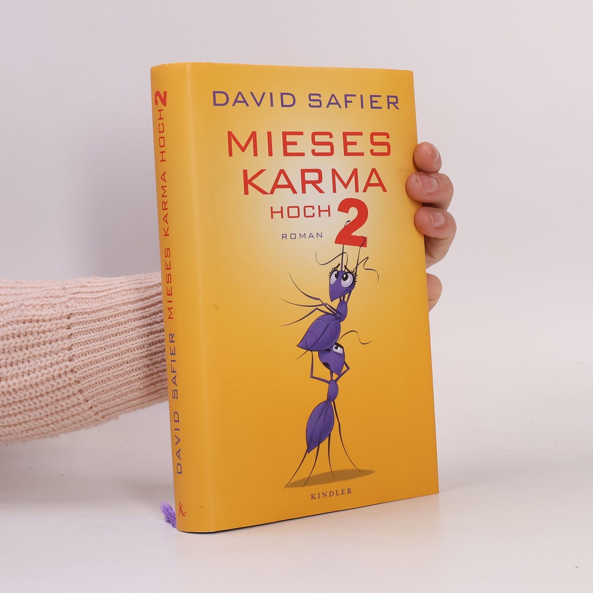 David Safier Mieses Karma hoch 2