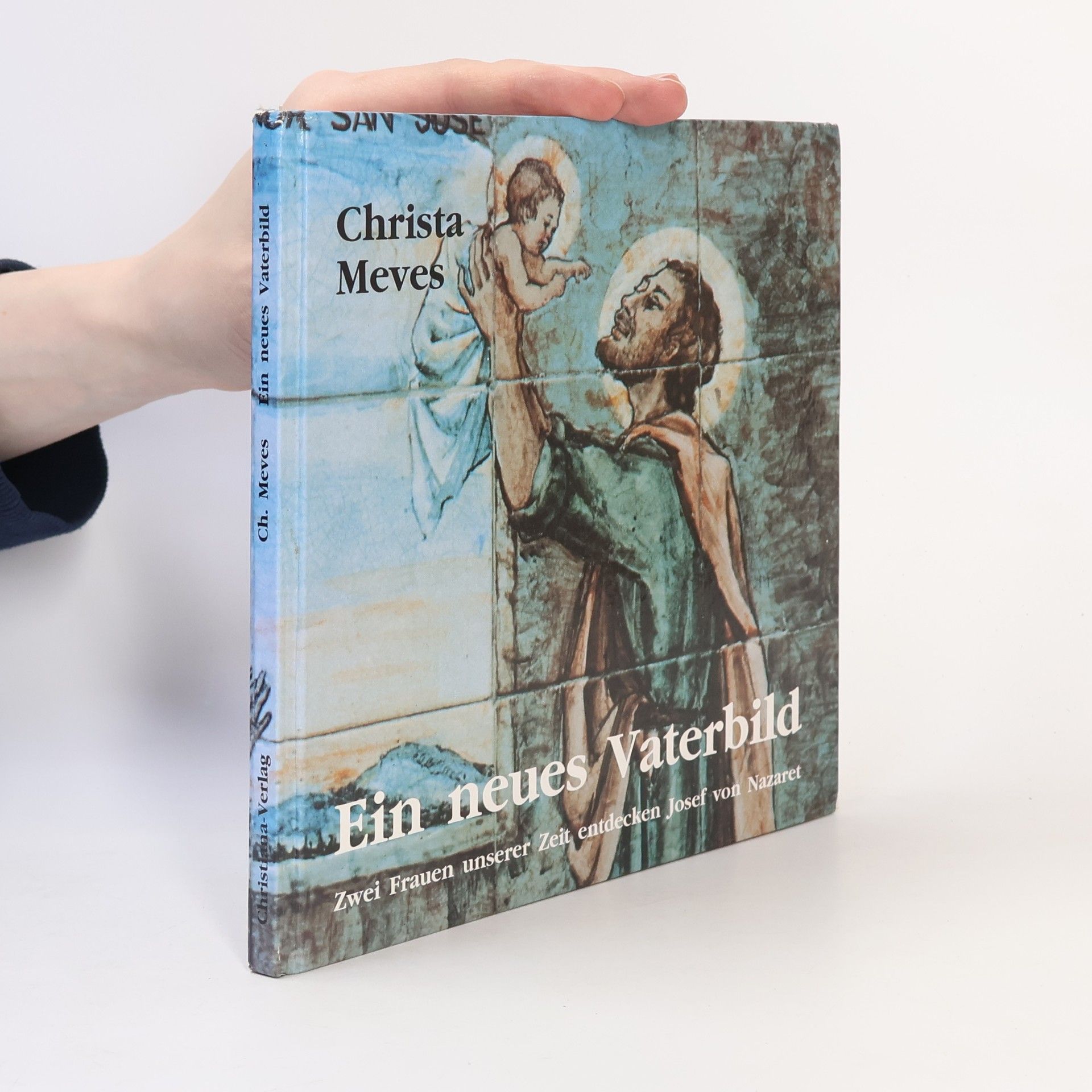 Christa Meves Ein neues Vaterbild