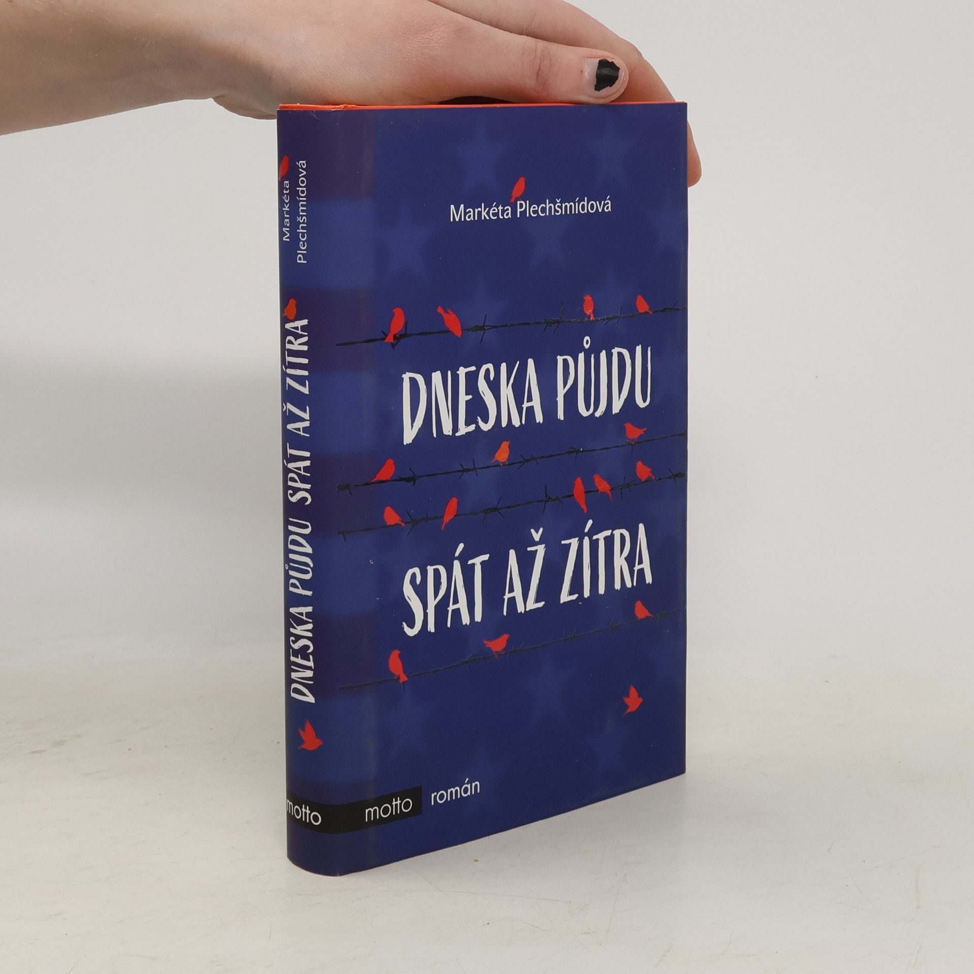 Markéta Plechšmídová Dneska půjdu spát až zítra