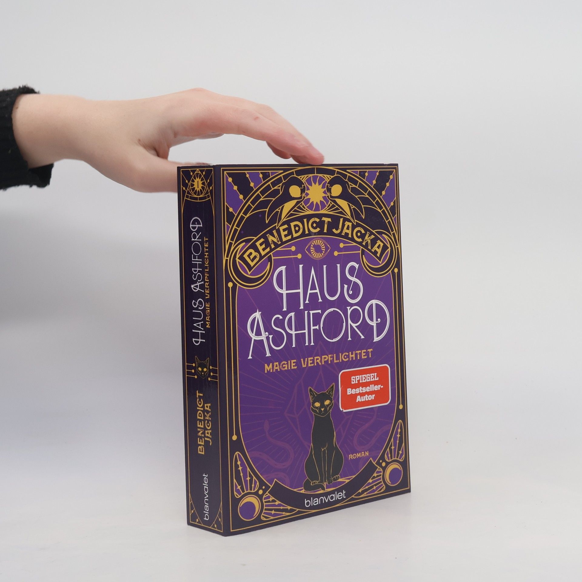Benedict Jacka Haus Ashford - Magie verpflichtet
