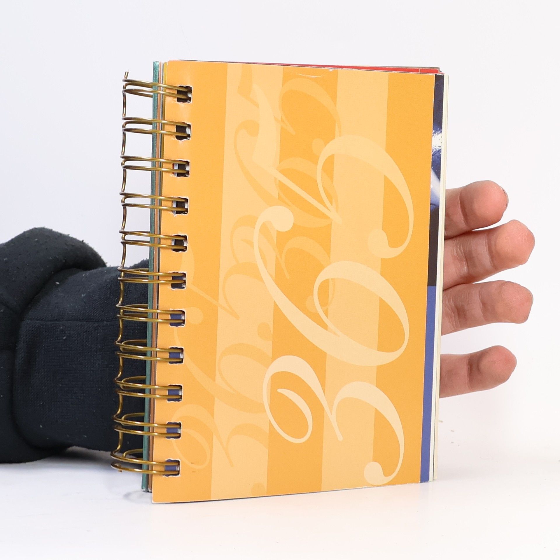 Corinna Gellrich 365 Segenswünsche