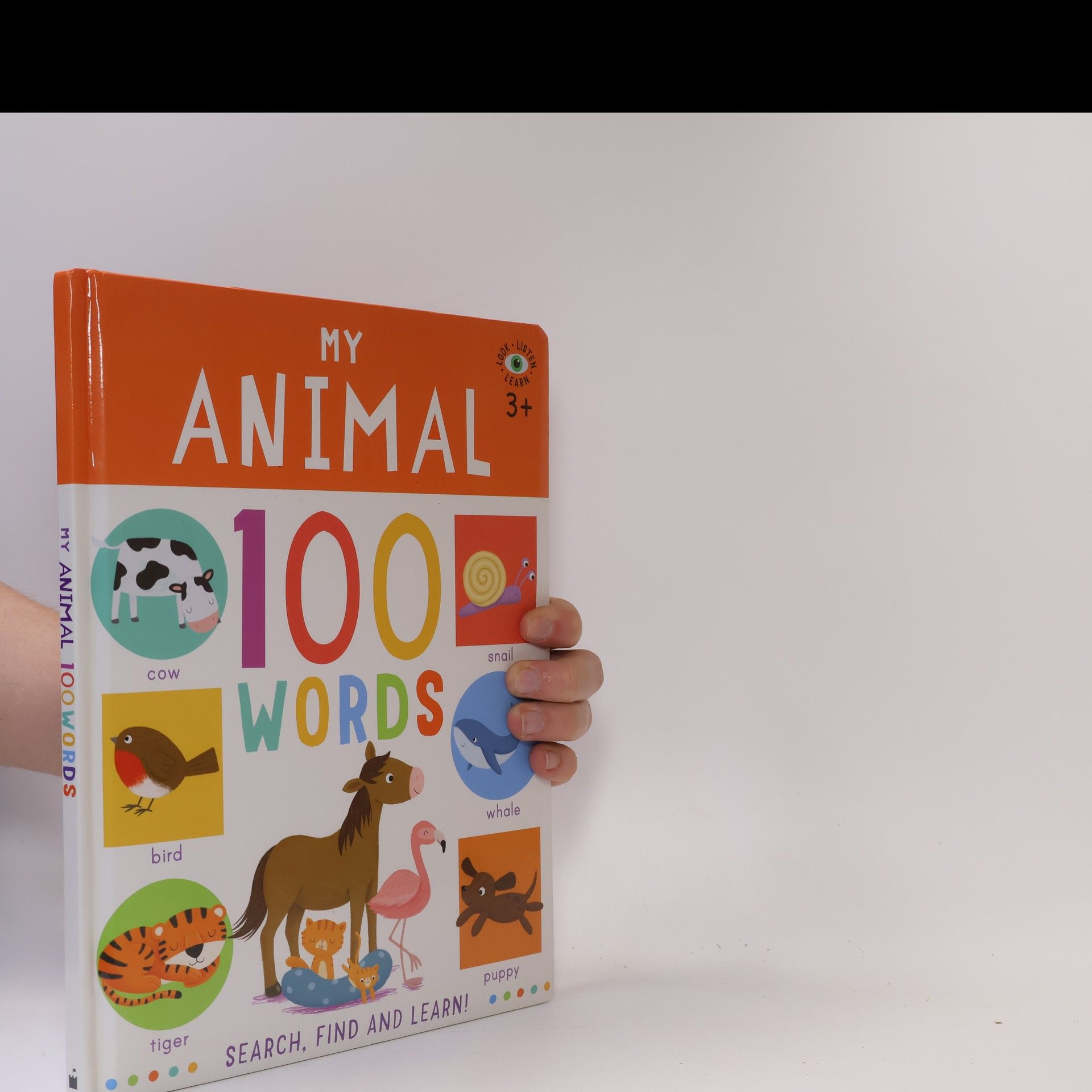 kolektiv My Animal. 100 Words