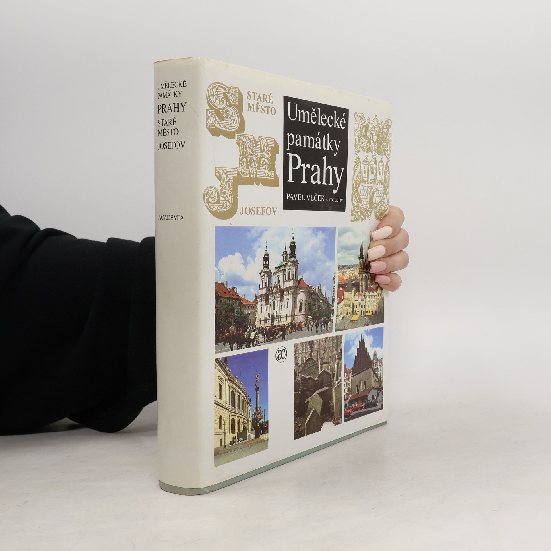 Pavel Vlček Umělecké památky Prahy. Staré město - Josefov.