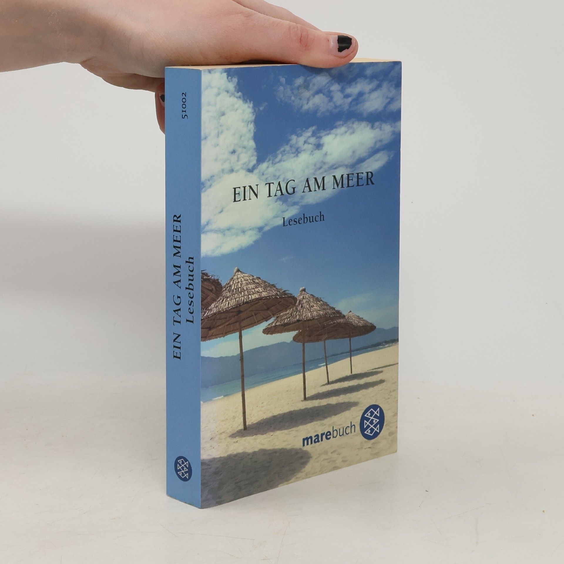 Hans Jürgen Balmes Ein Tag am Meer