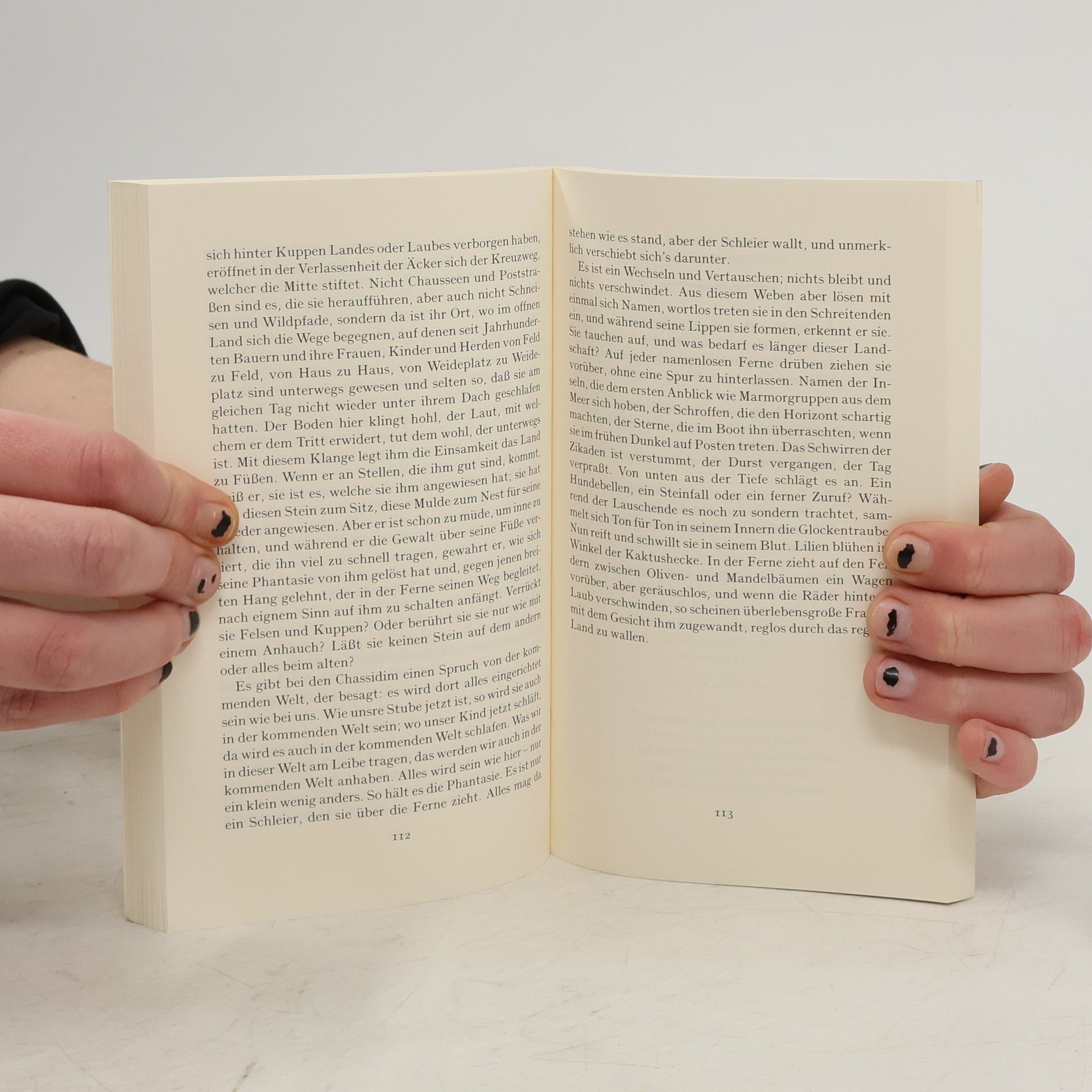 Hans Bender Das Sommerbuch