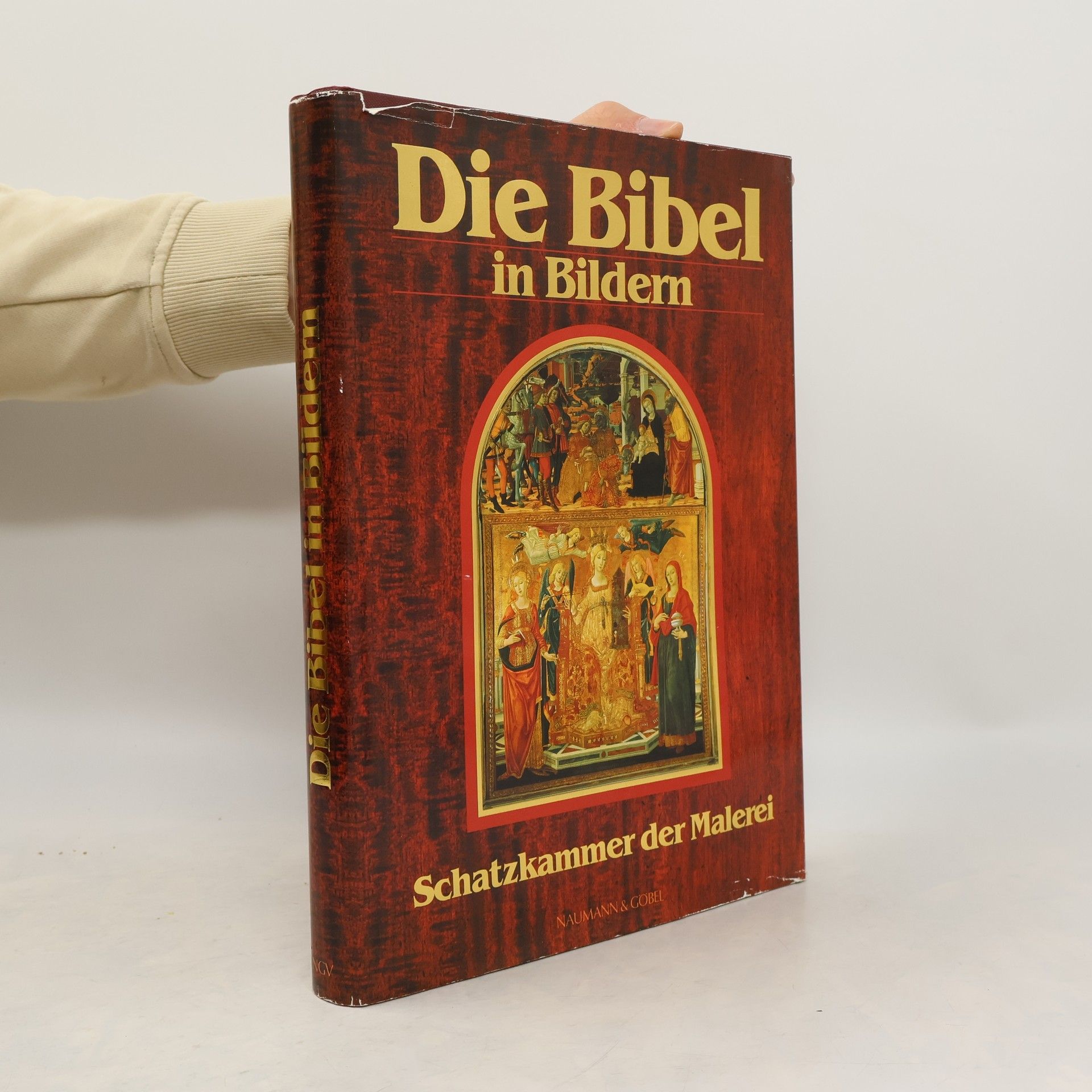 Various authors Die Bibel in Bildern. Schatzkammer der Malerei