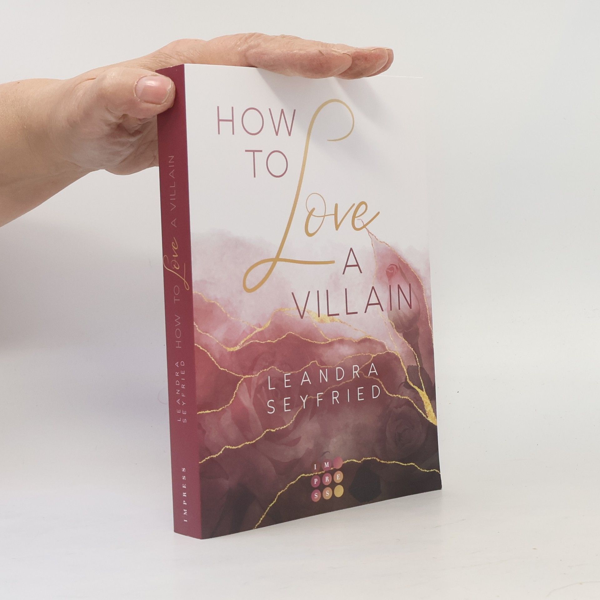 Leandra Seyfried How to Love A Villain (Chicago Love 1)