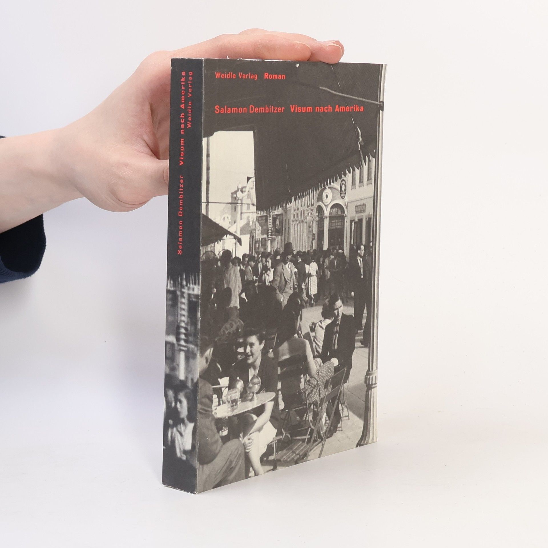 Salamon Dembitzer Visum nach Amerika