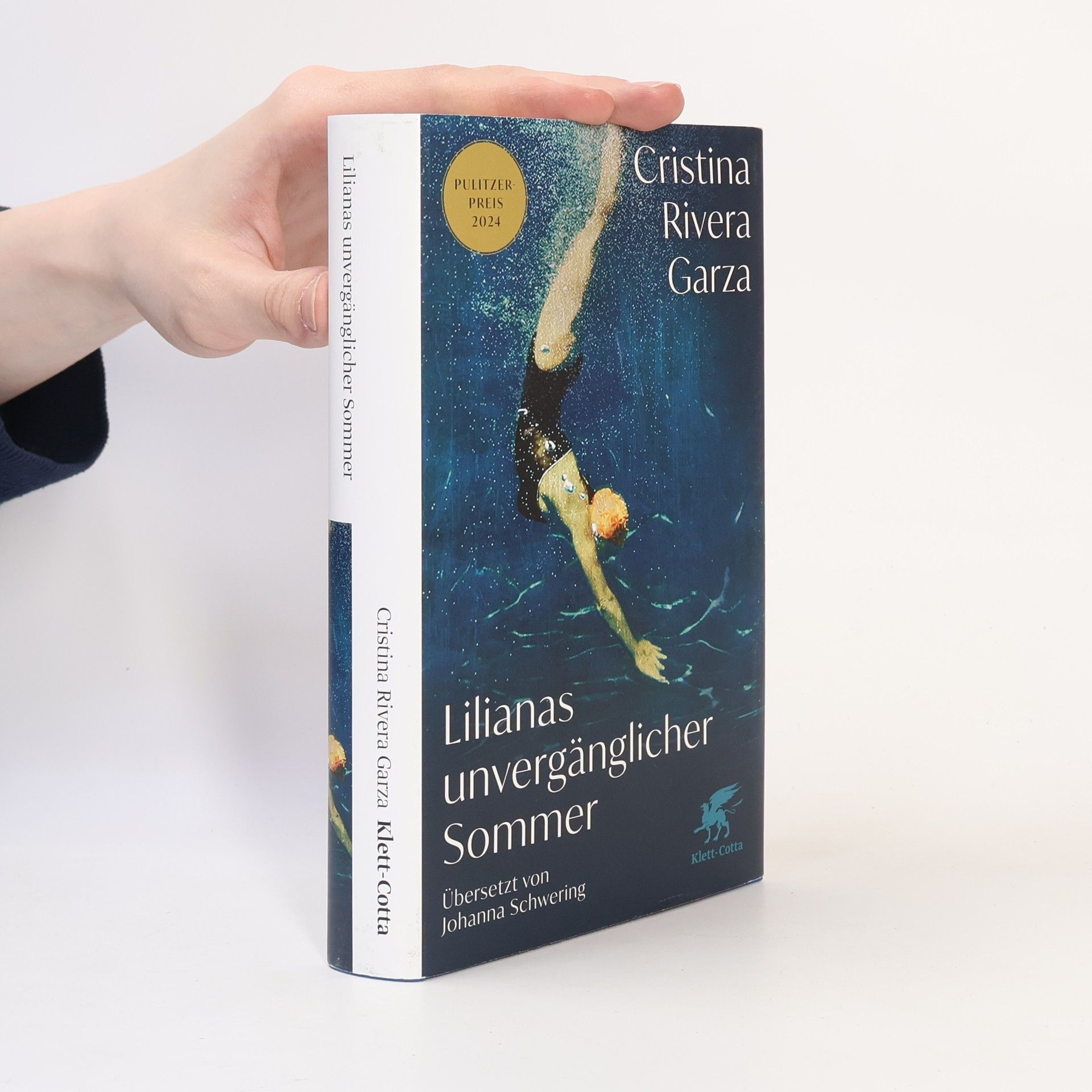 Cristina Rivera Garza Lilianas unvergänglicher Sommer