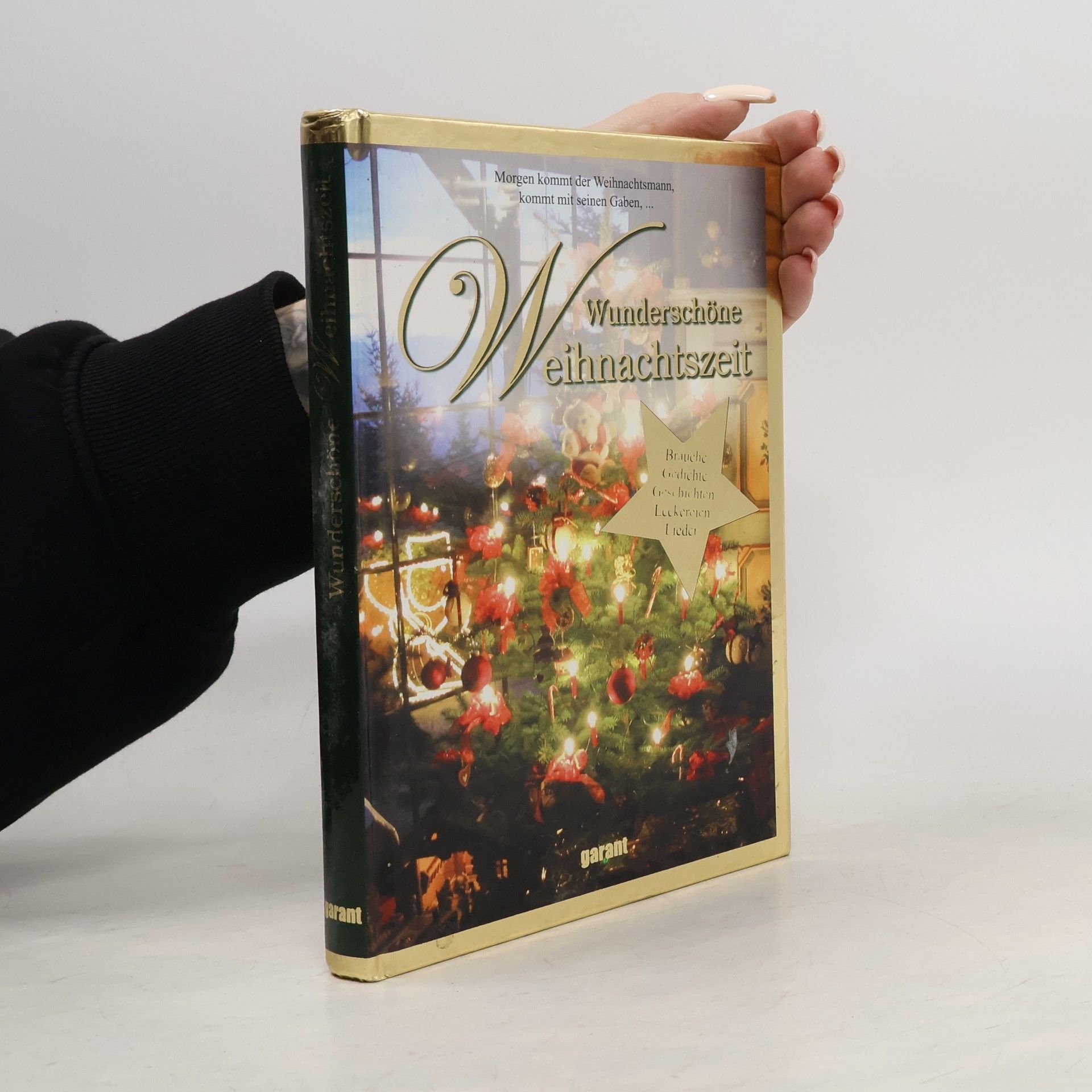 Various authors Wunderschöne Weihnachtszeit