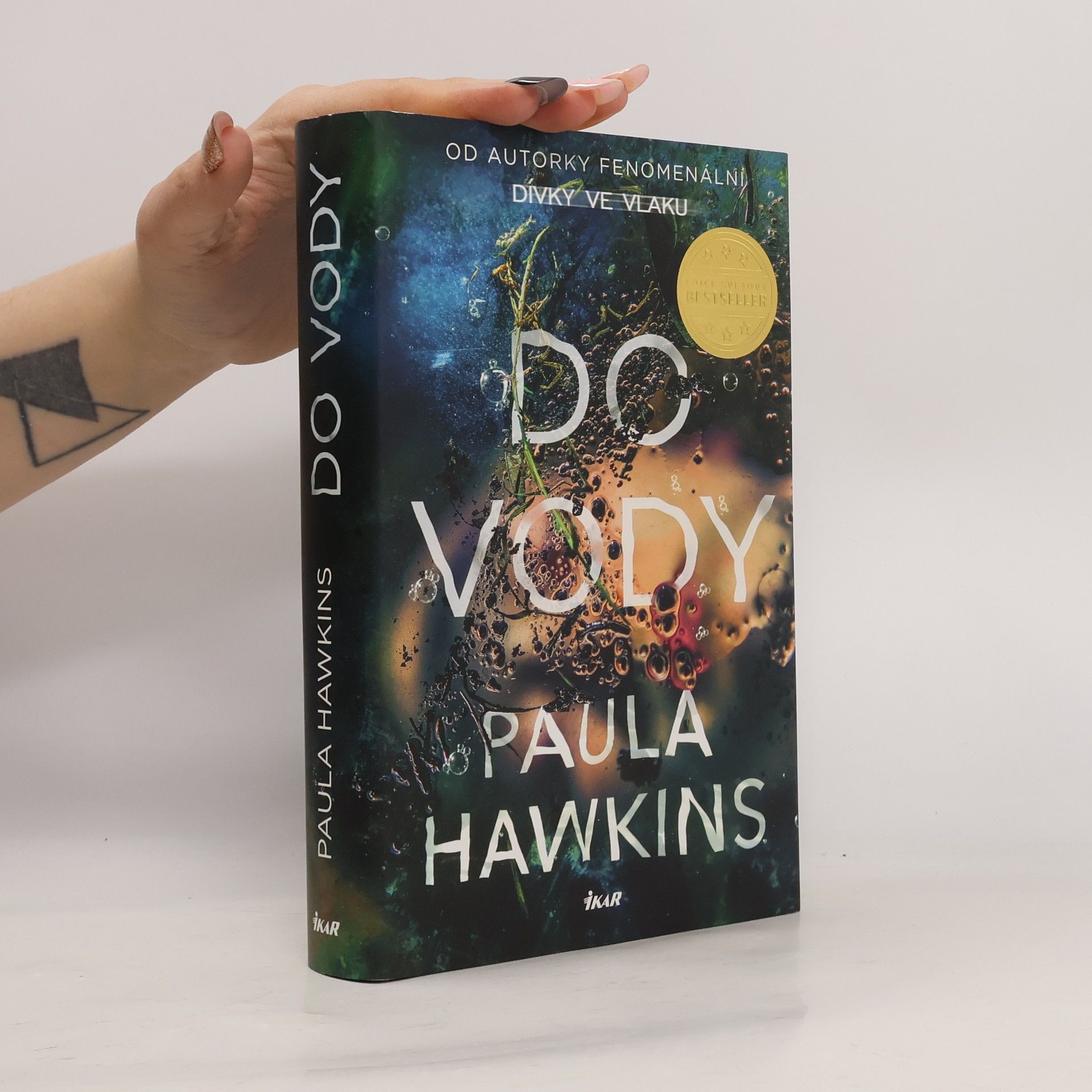 Paula Hawkinsová Do vody