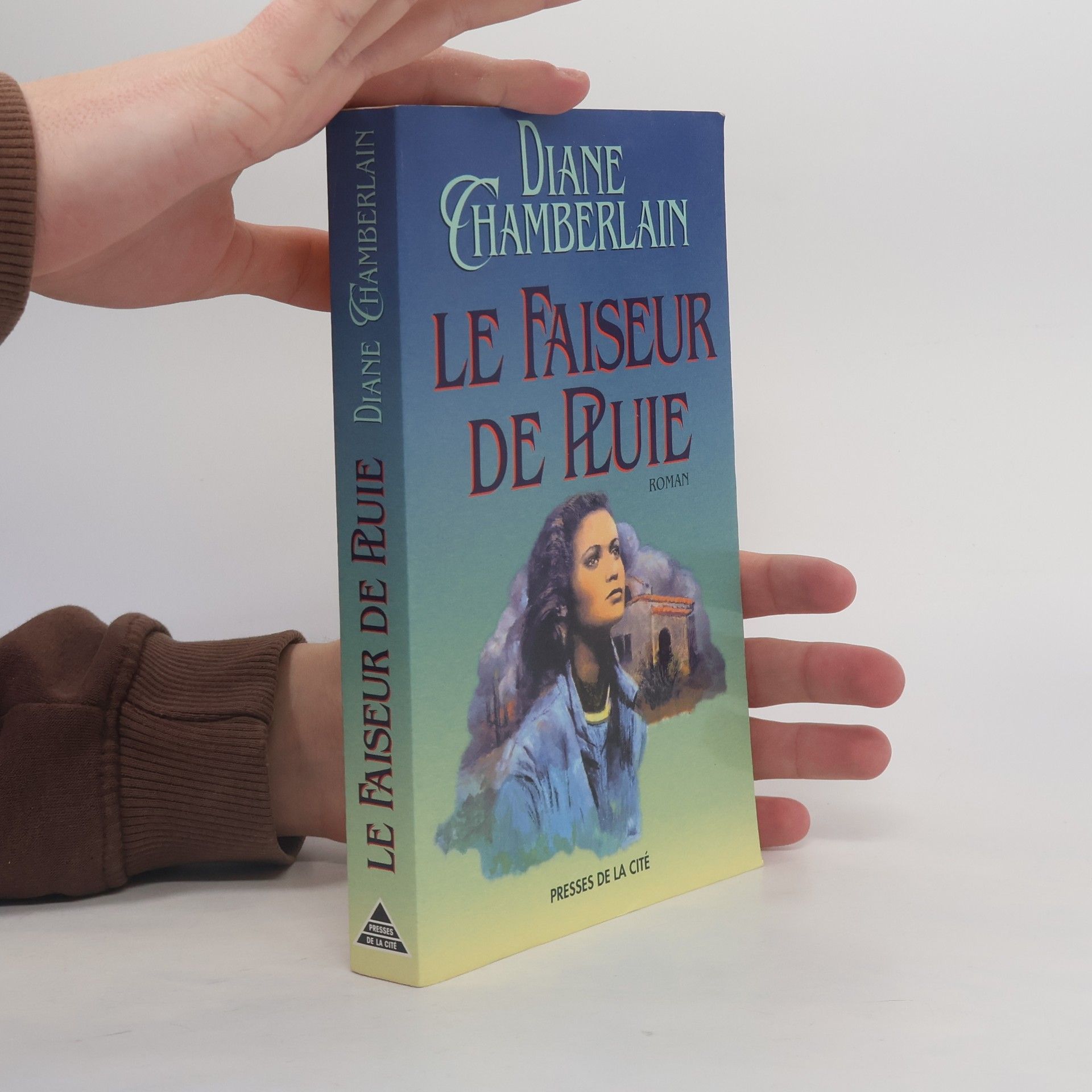 Diane Chamberlain Le faiseur de pluie