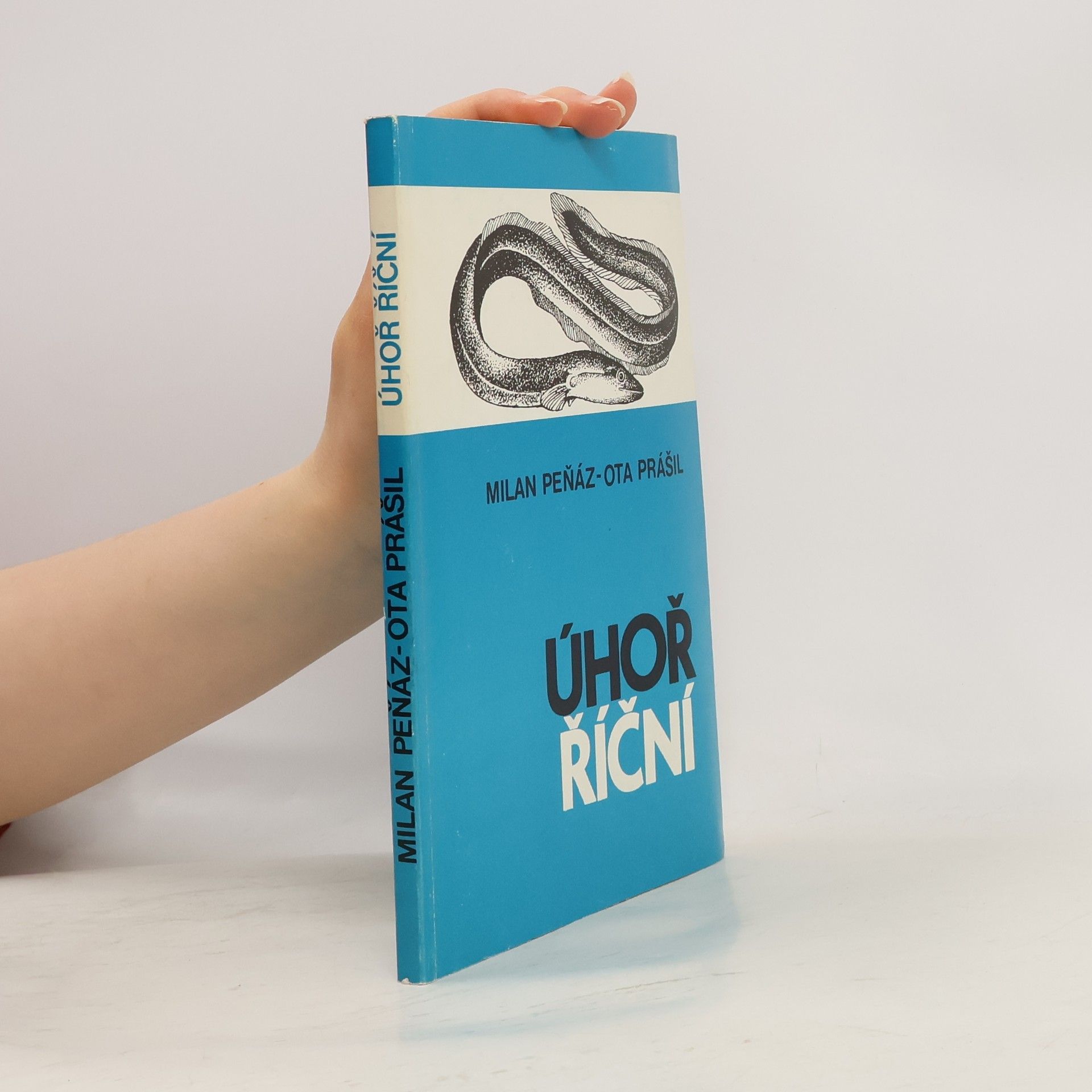 Milan Peňáz Úhoř říční