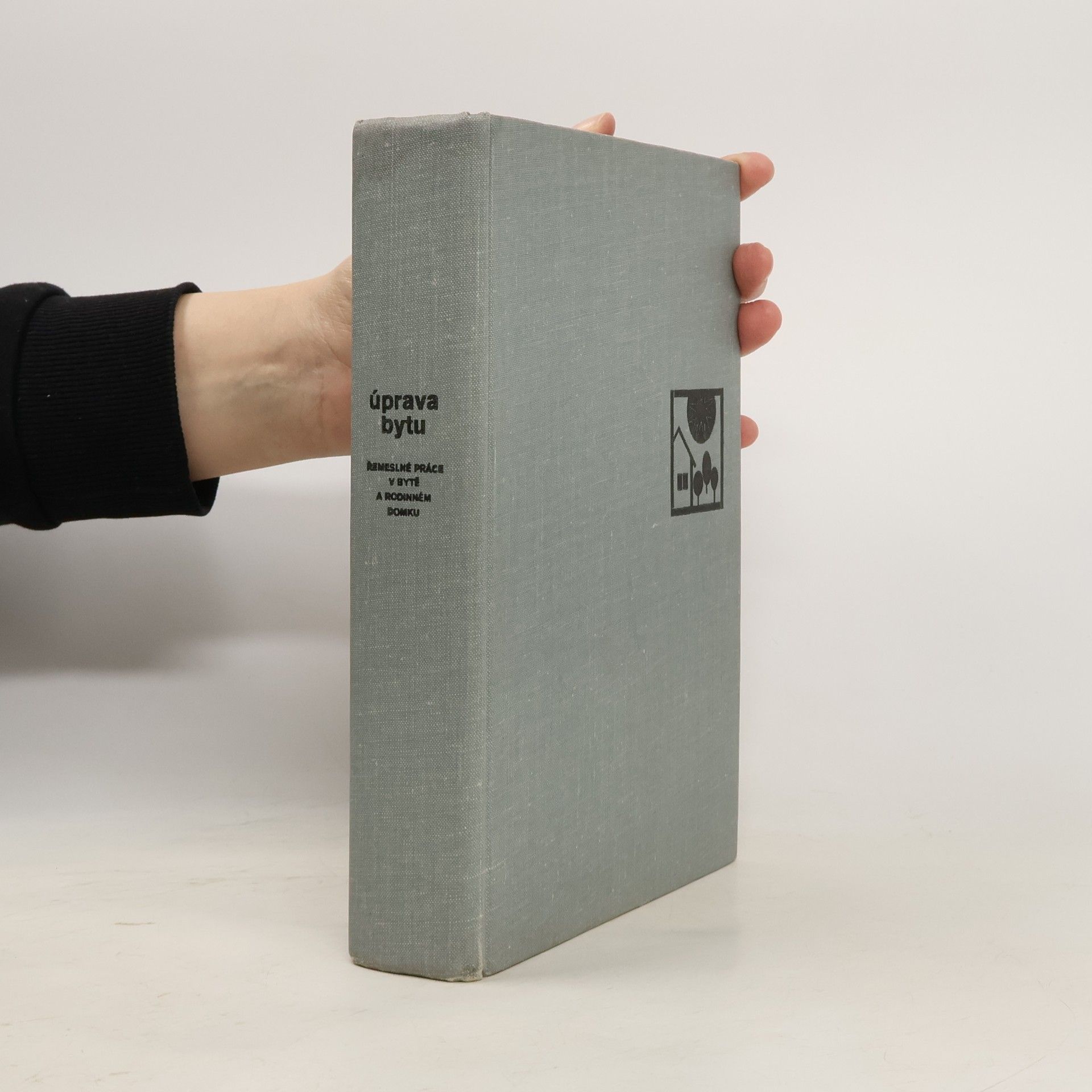 kolektiv Úprava bytu. Řemeslné práce v bytě a rodinném domku