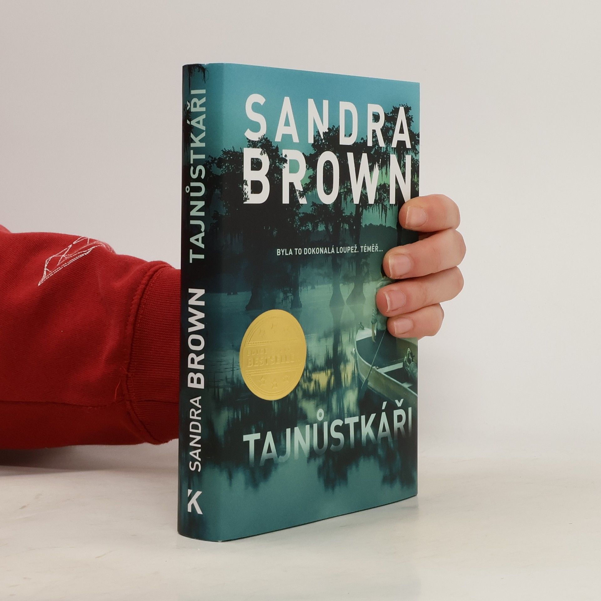 Sandra Brown Tajnůstkáři