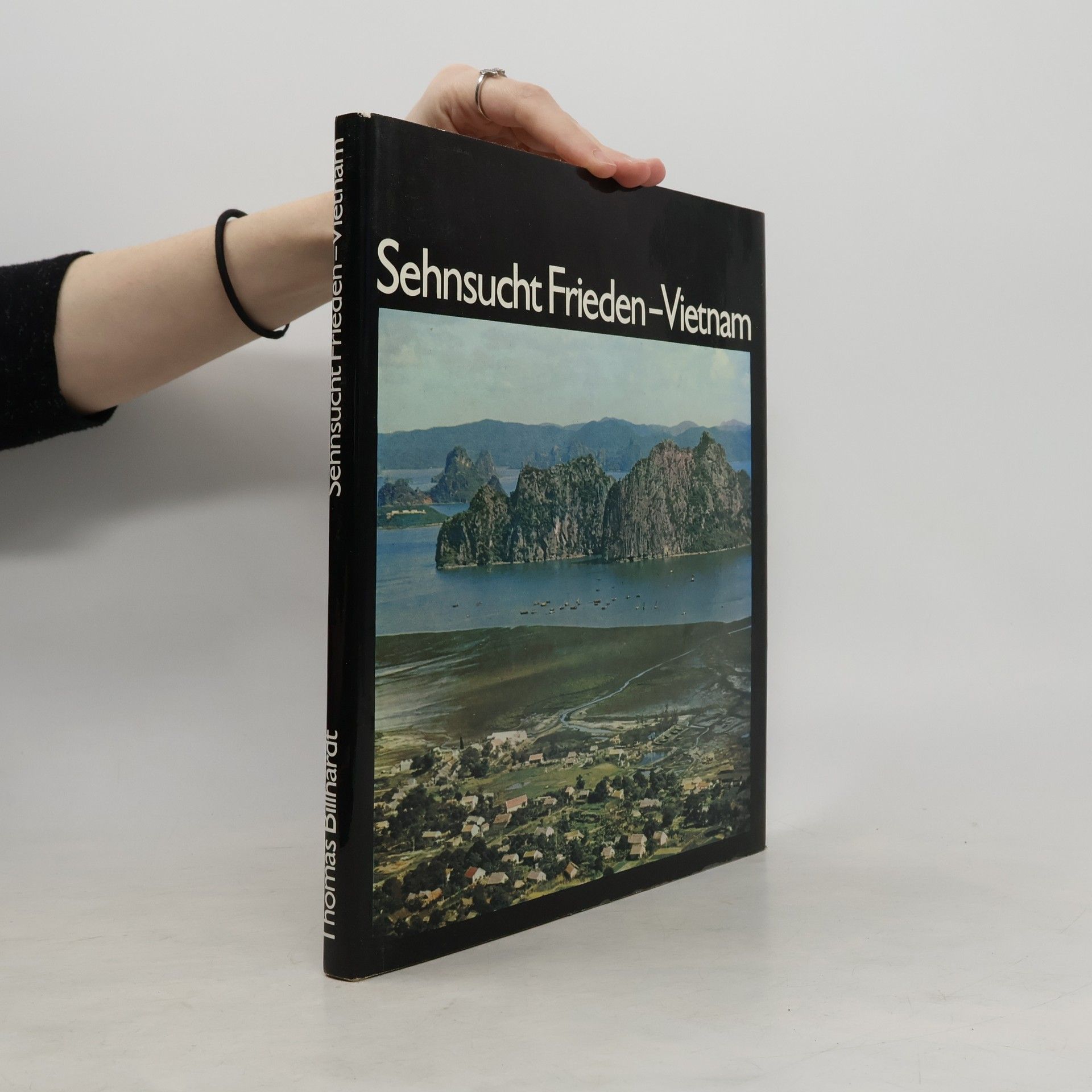 Sehnsucht Frieden - Vitenam