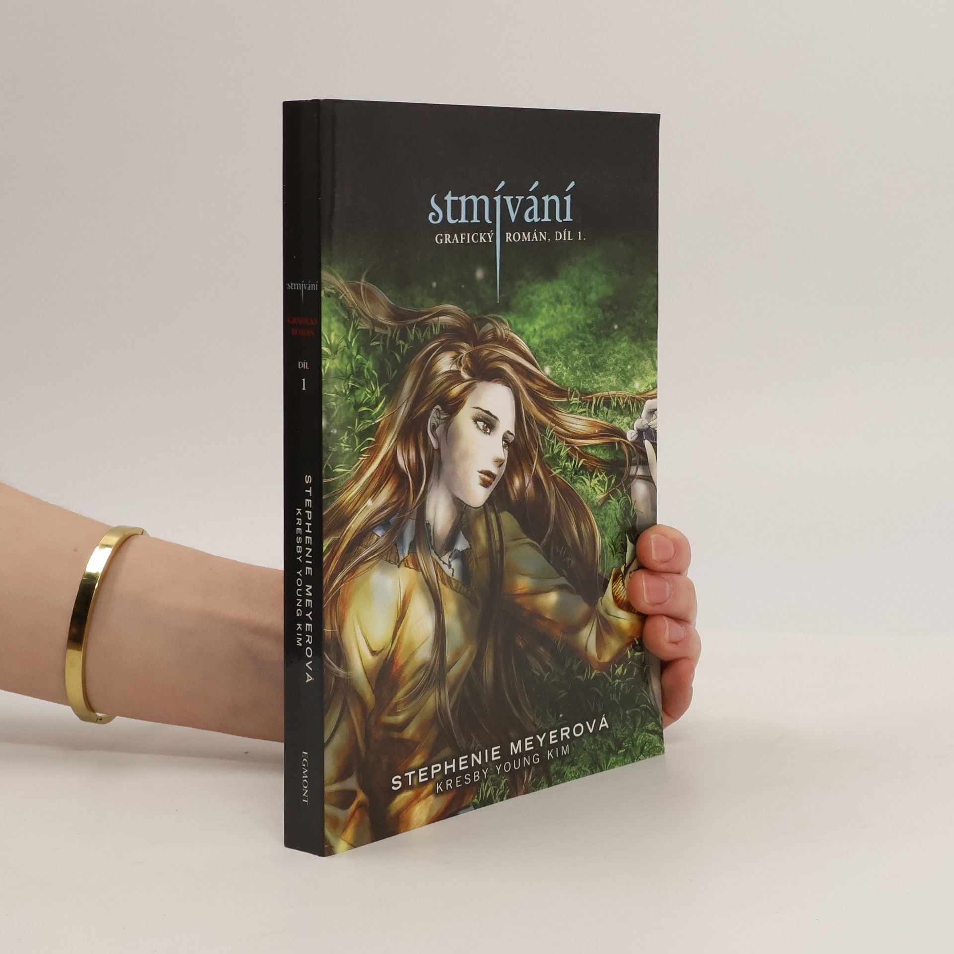 Stephenie Meyer Stmívání: Grafický román