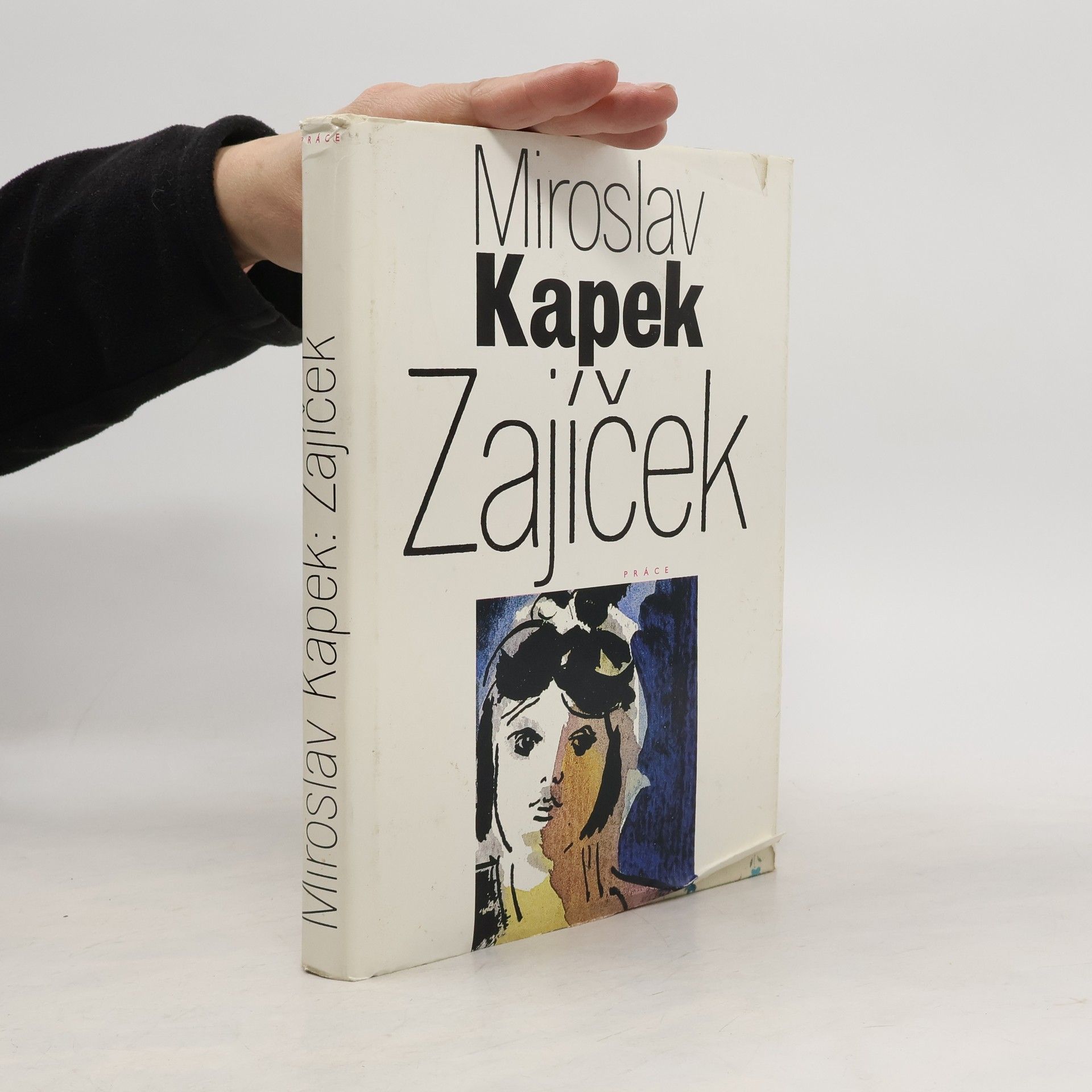 Miroslav Kapek Zajíček