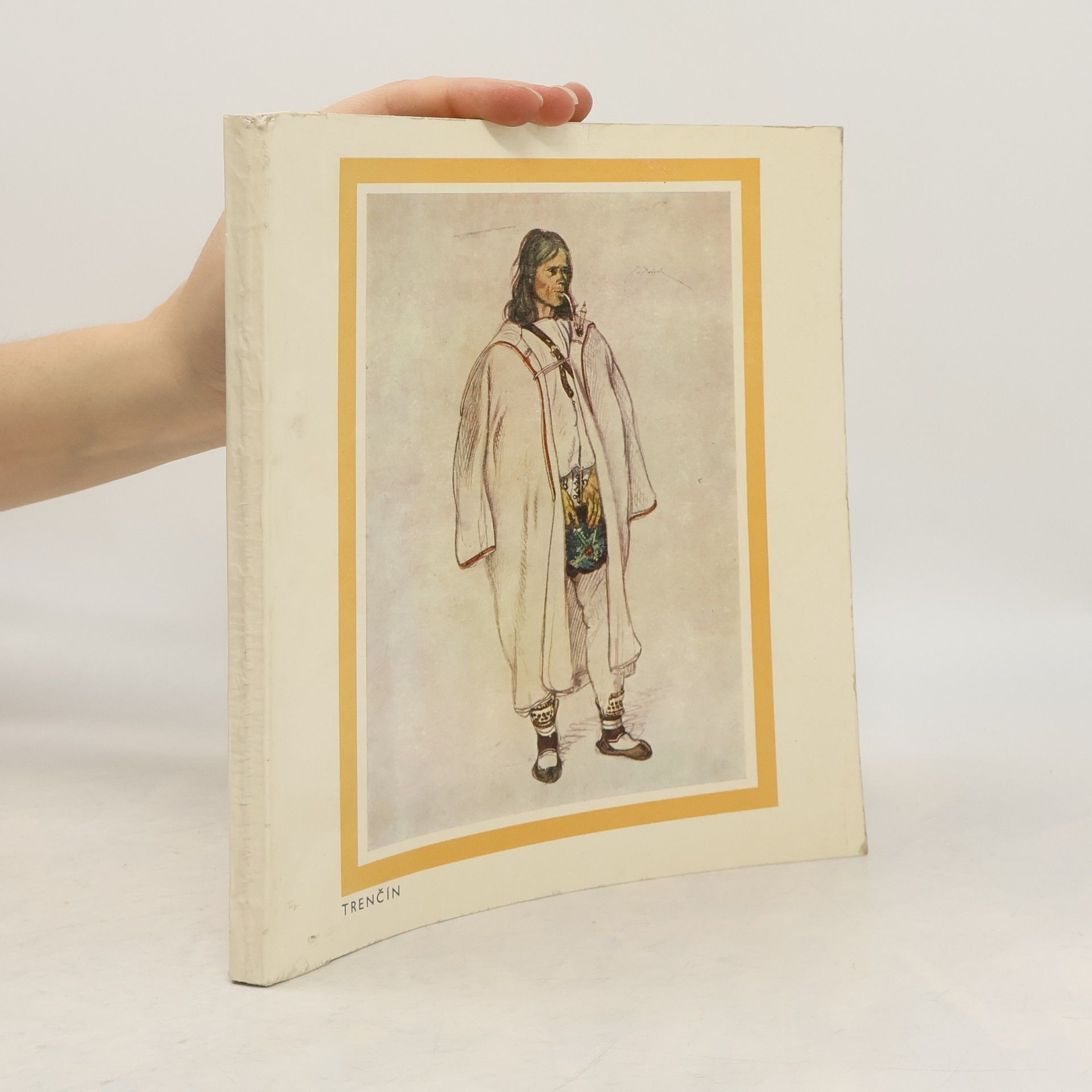 Gregor Medvecký Trenčin v umeni