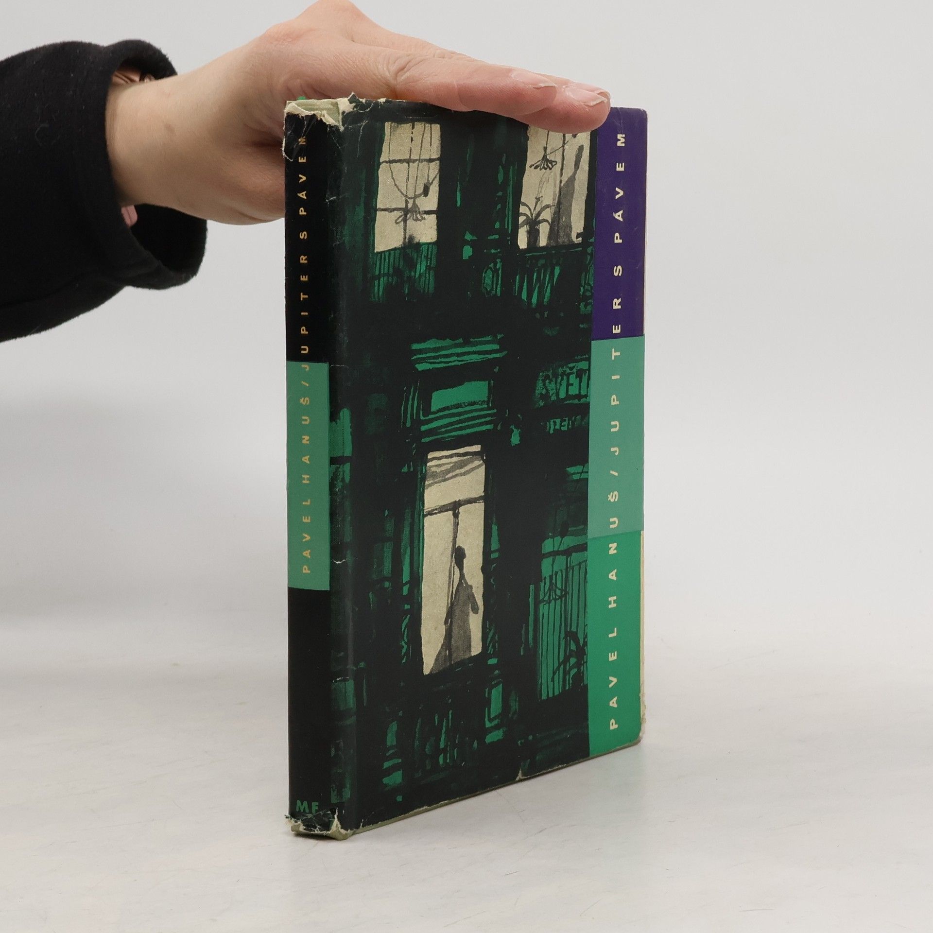 Pavel Hanuš Jupiter s pávem