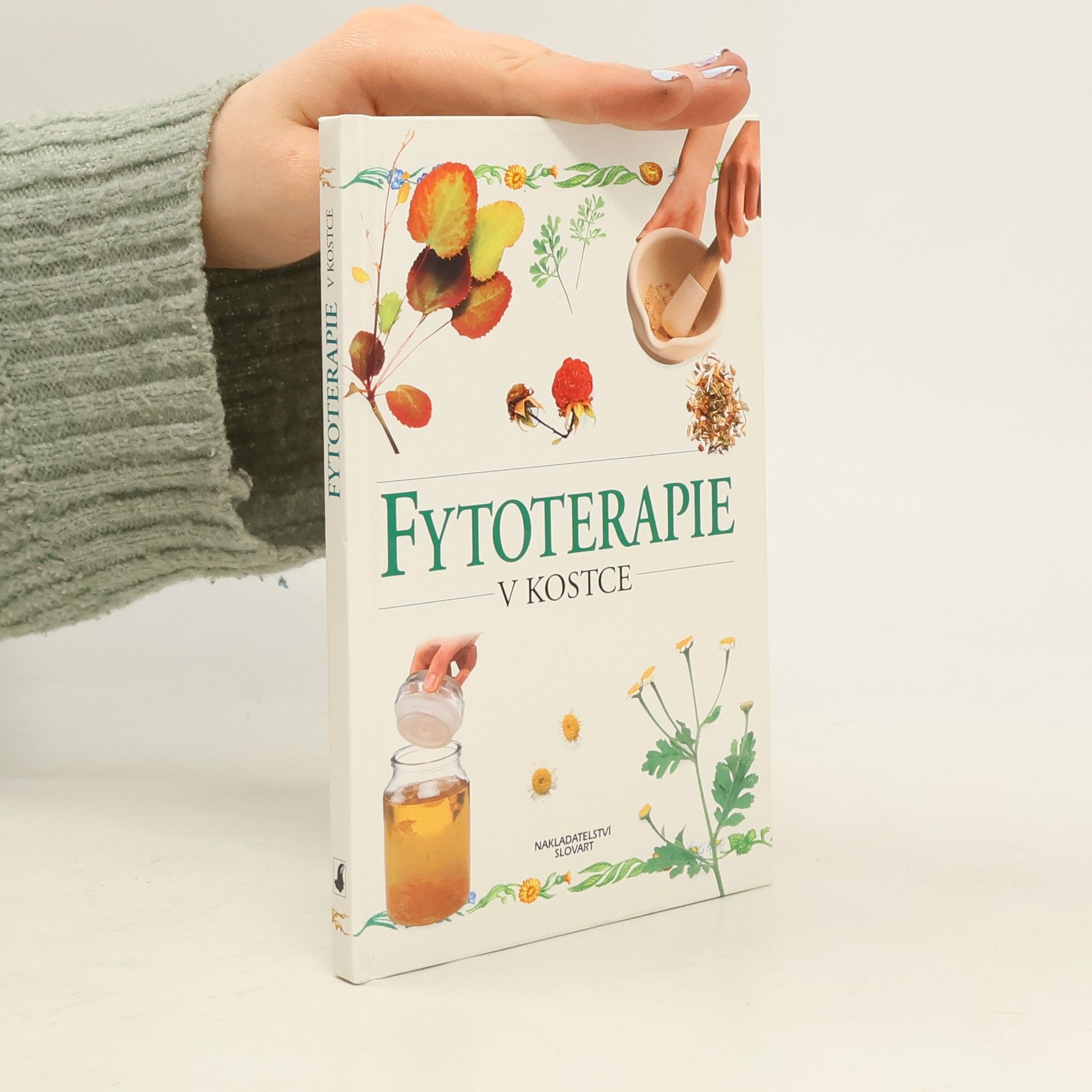 Fytoterapie