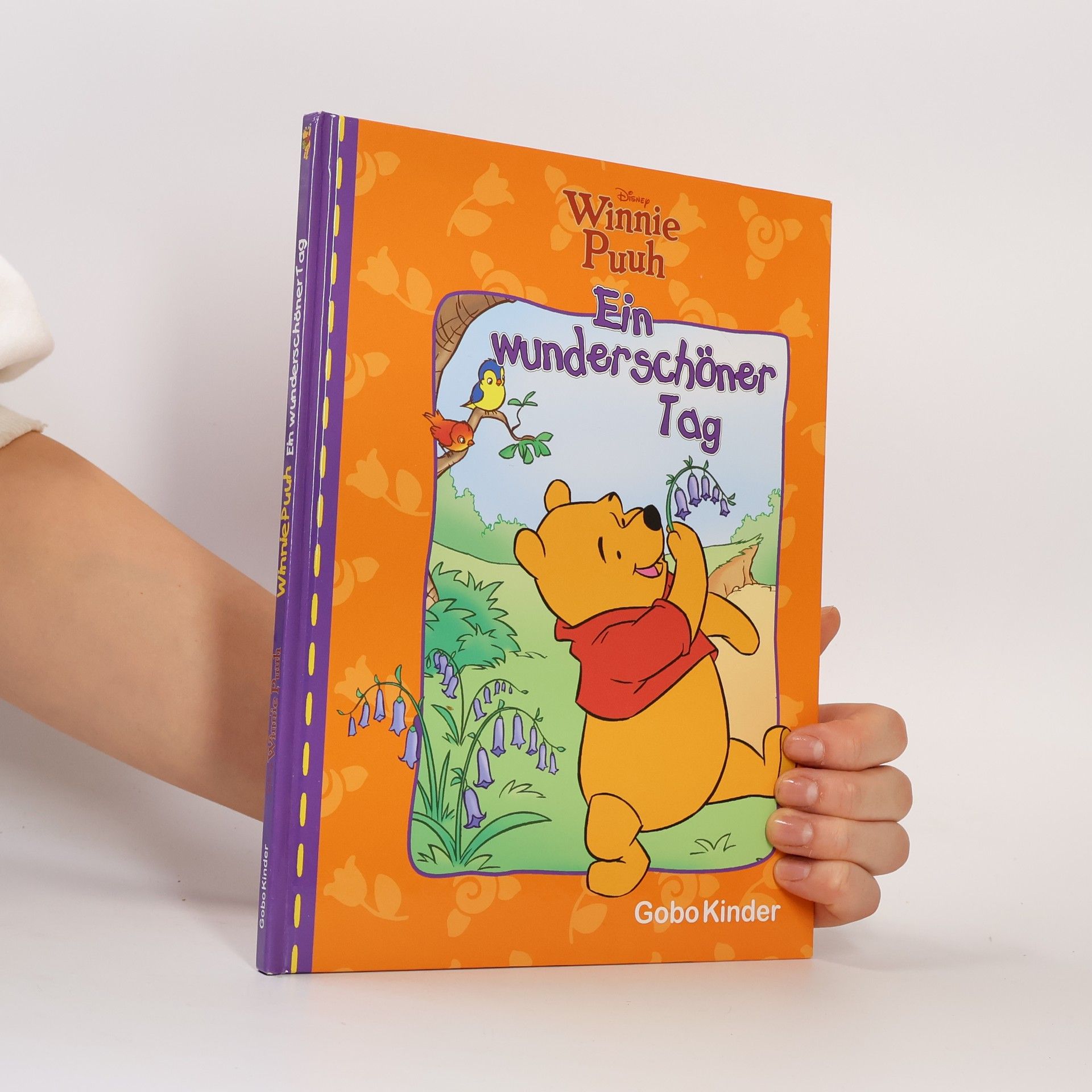 AA.VV. Winnie Puuh. Ein wunderschöner Tag
