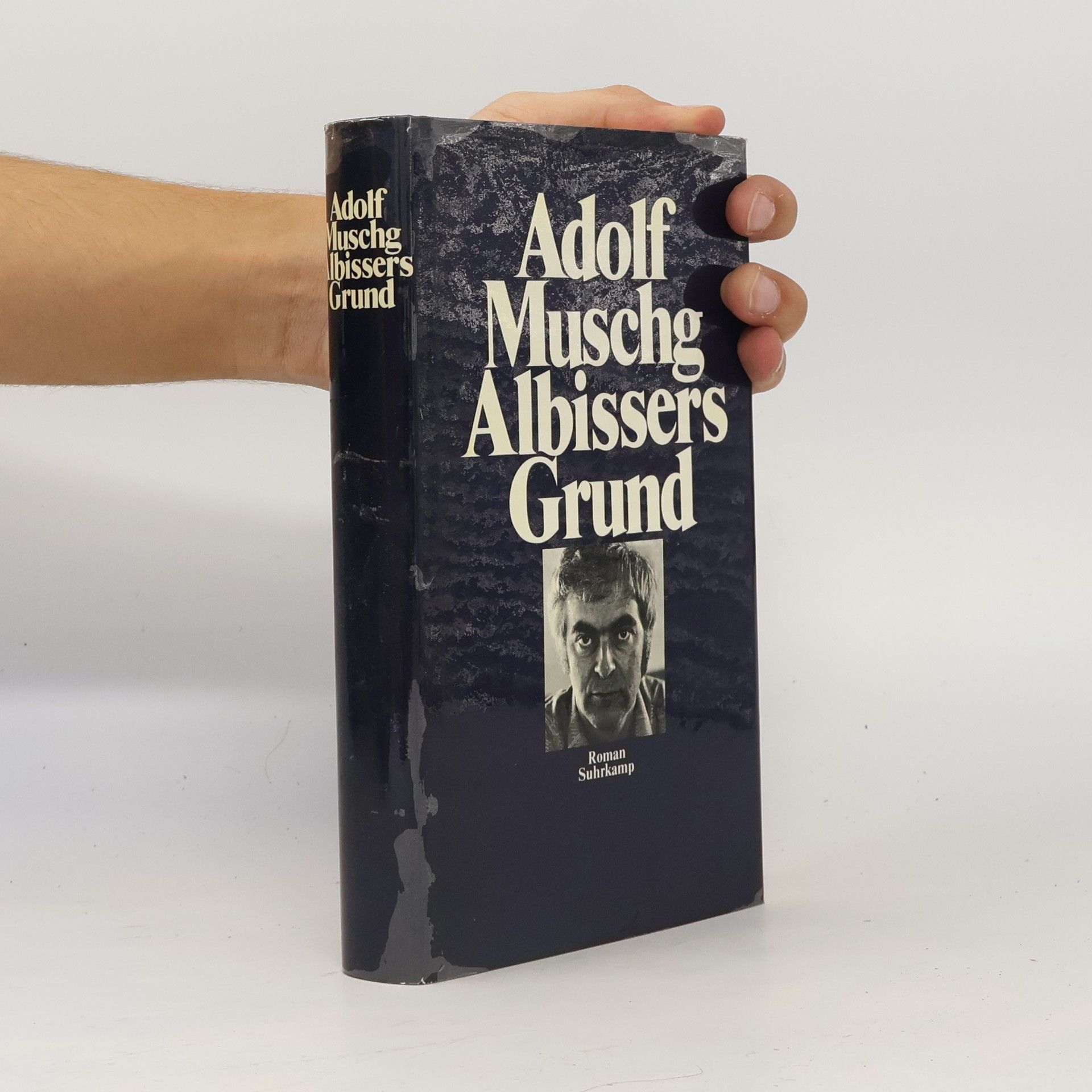 Adolf Muschg Albissers Grund