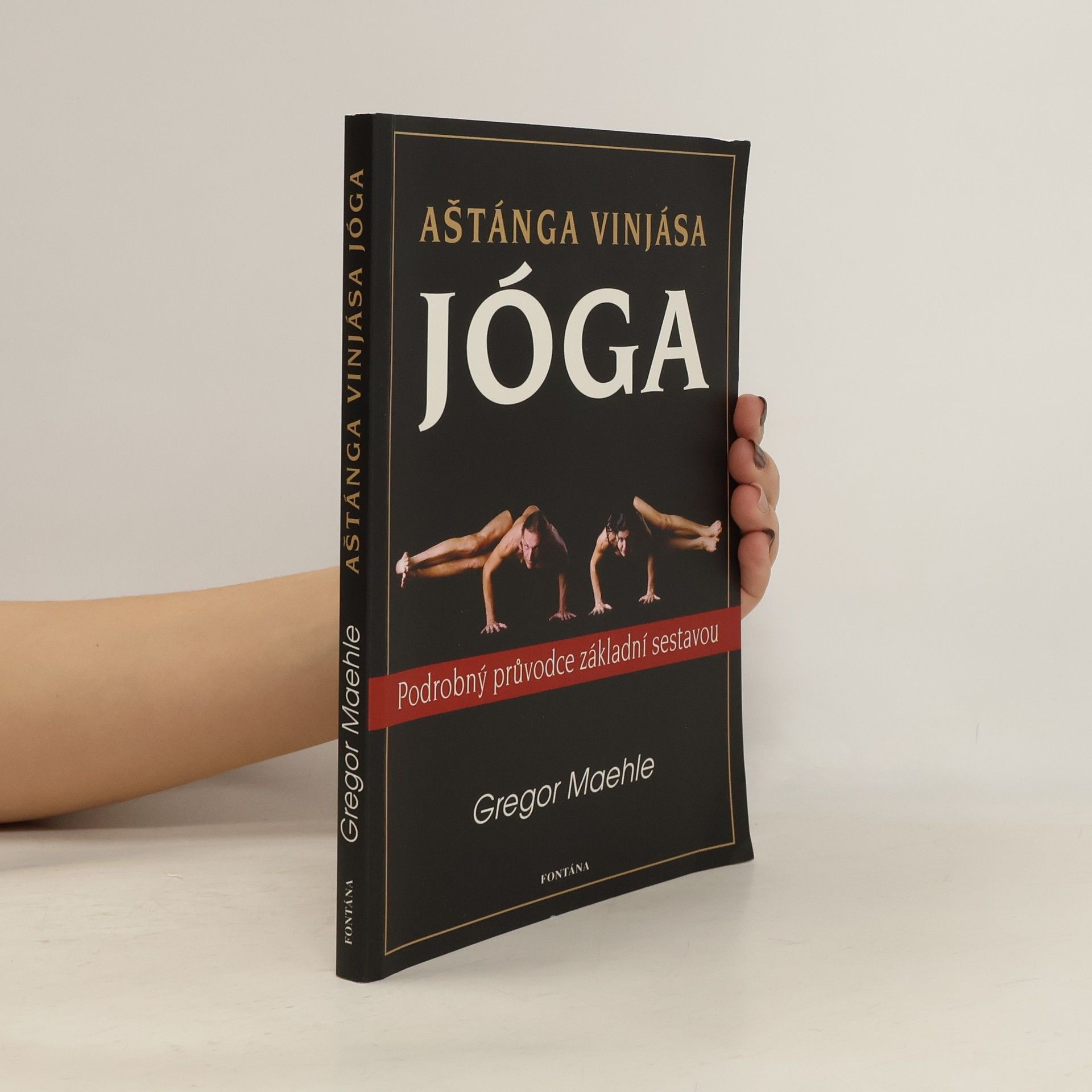 Gregor Maehle Aštánga vinjása jóga