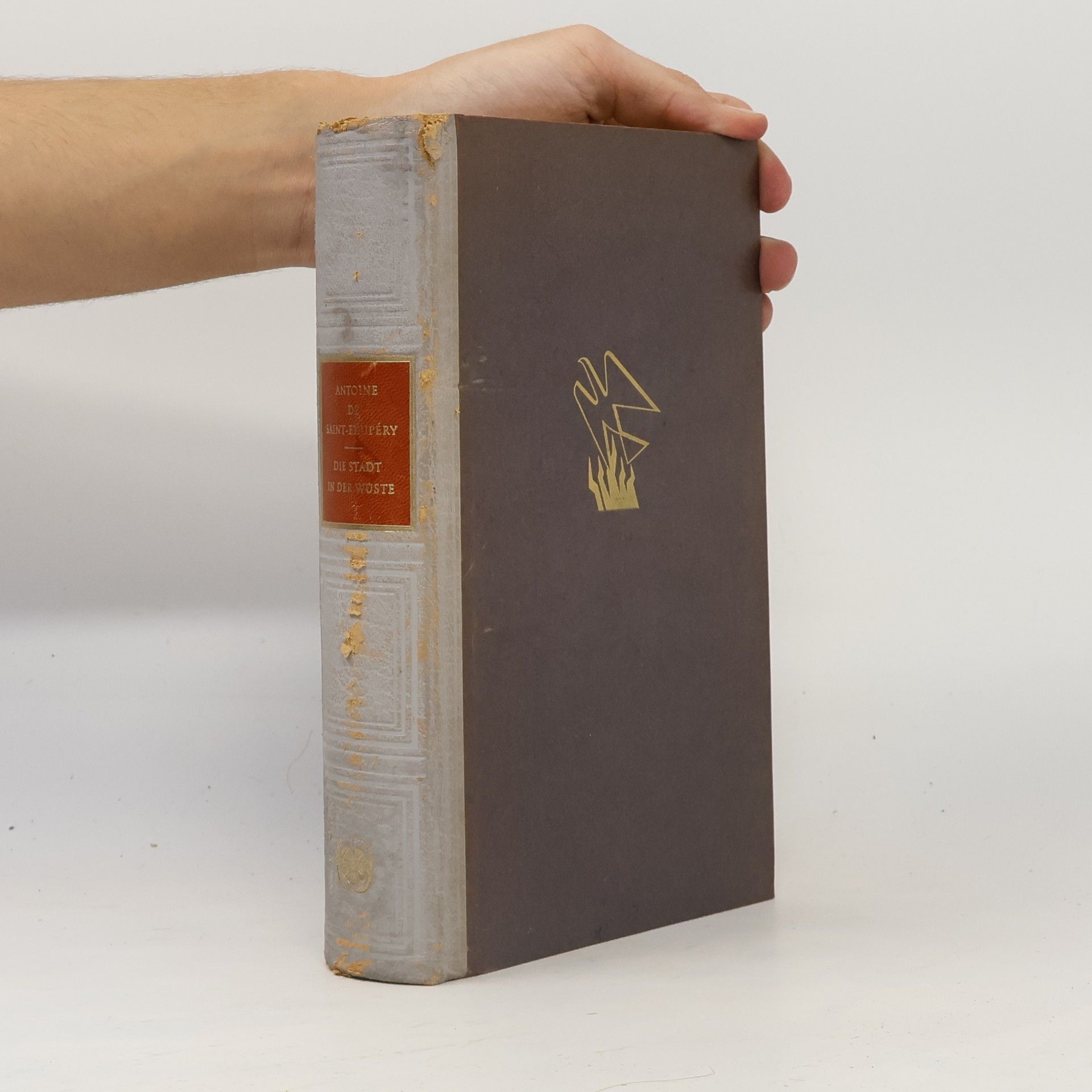 Antoine de Saint-Exupéry Die Stadt in der Wüste