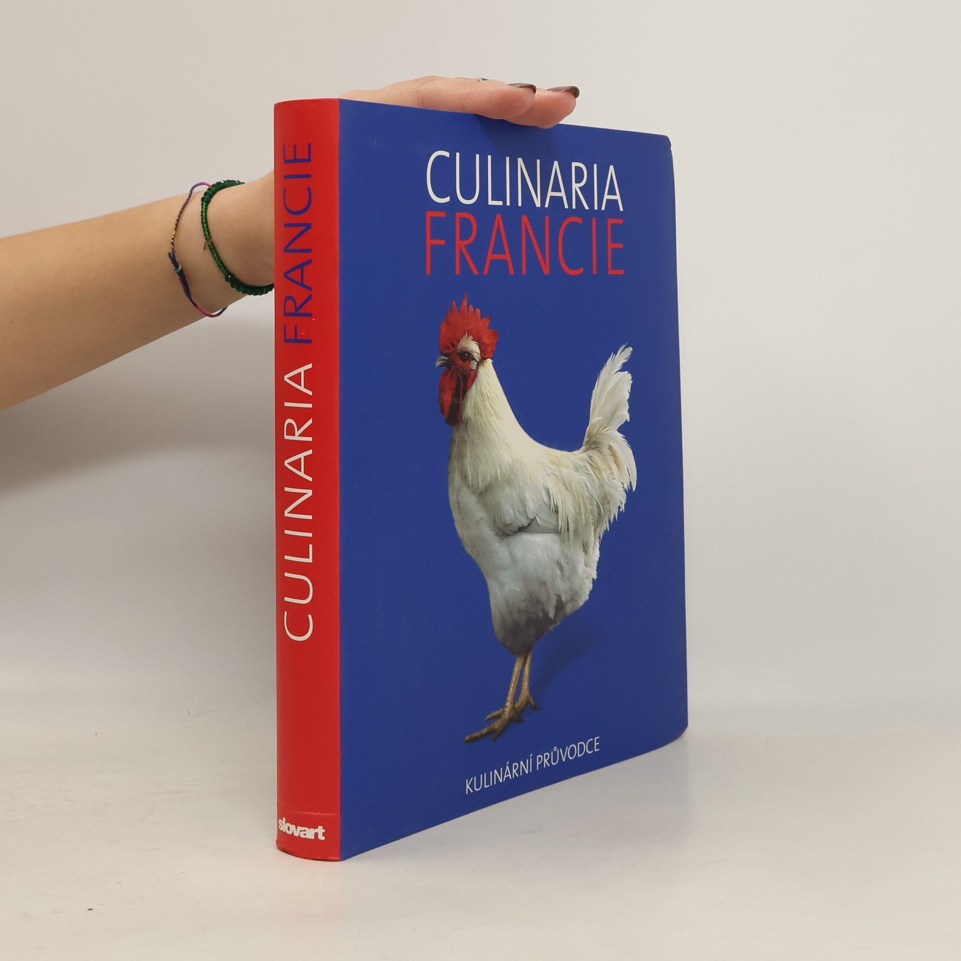 André Dominé Culinaria Francie