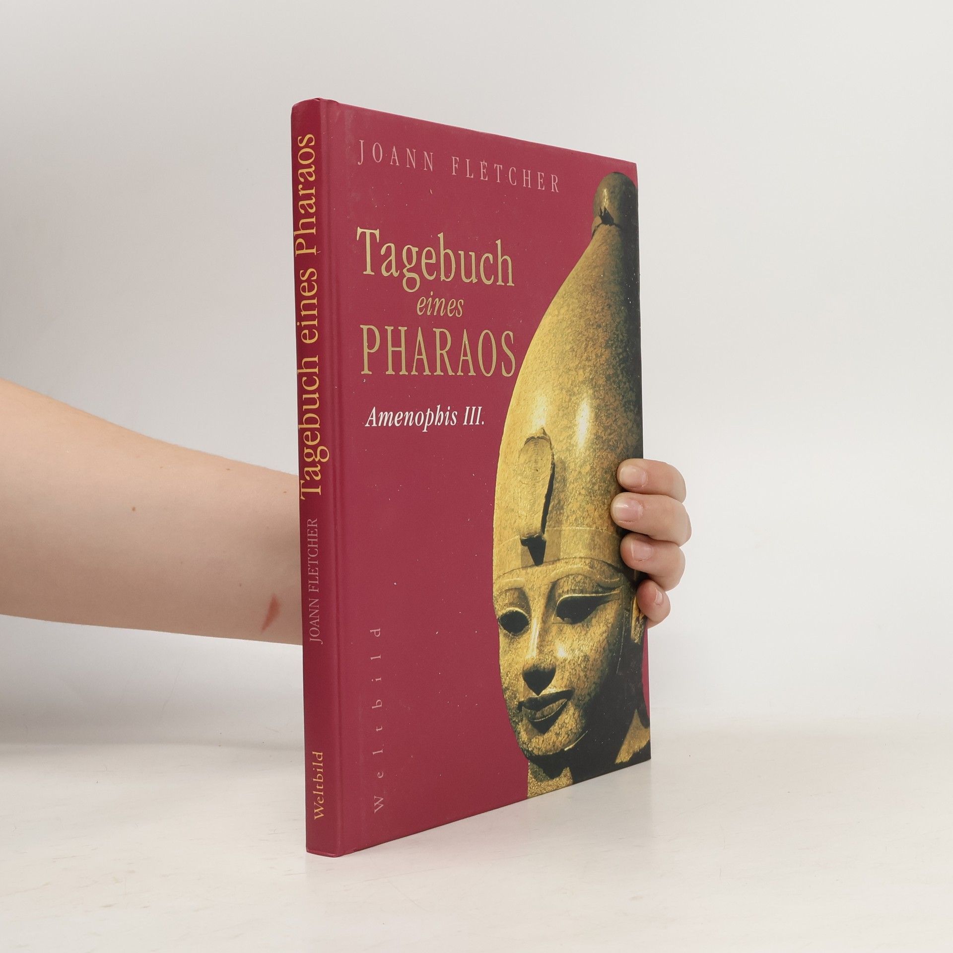 Joann Fletcher Tagebuch eines Pharaos: Amenophis III.