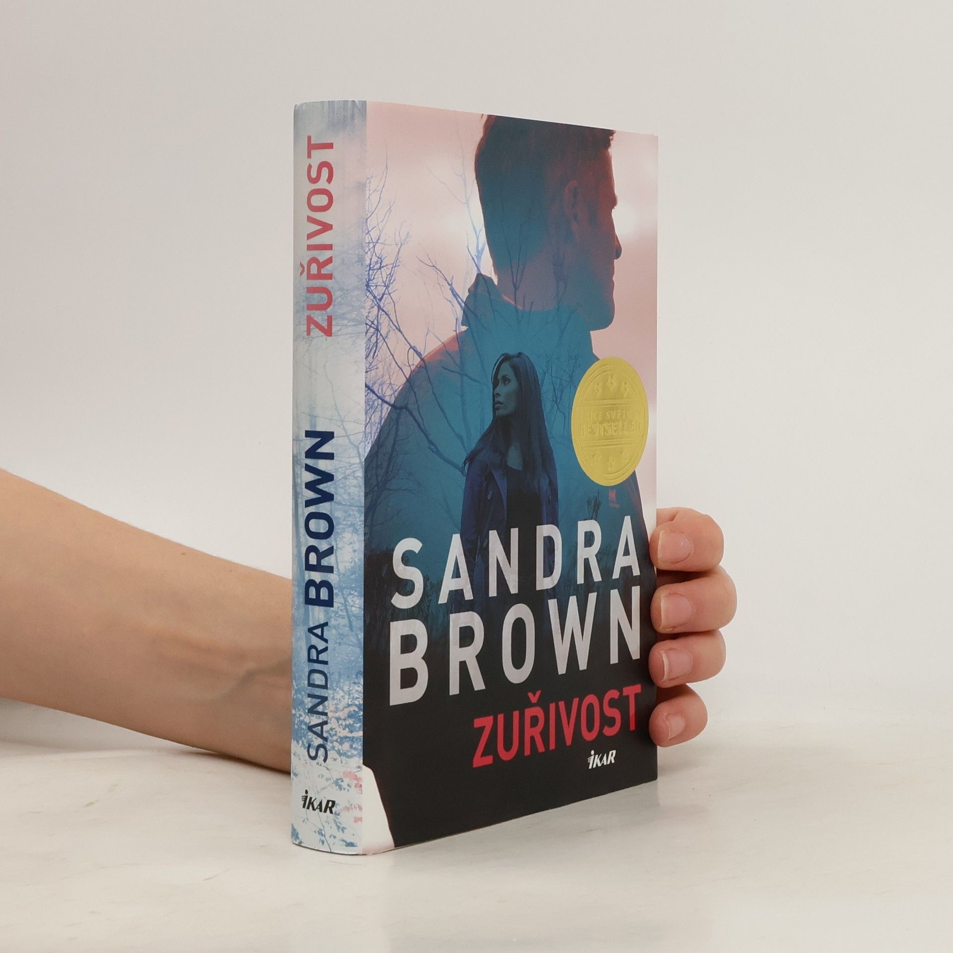 Sandra Brown Zuřivost