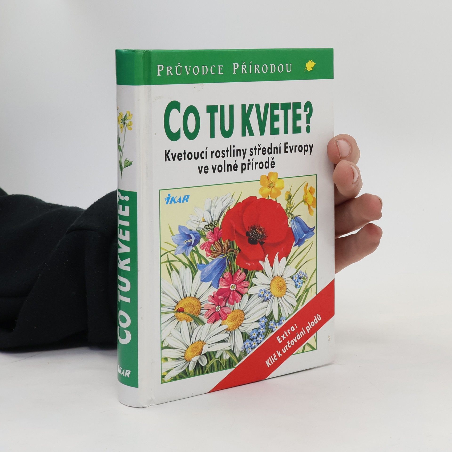 Dietmar Aichele Co tu kvete?