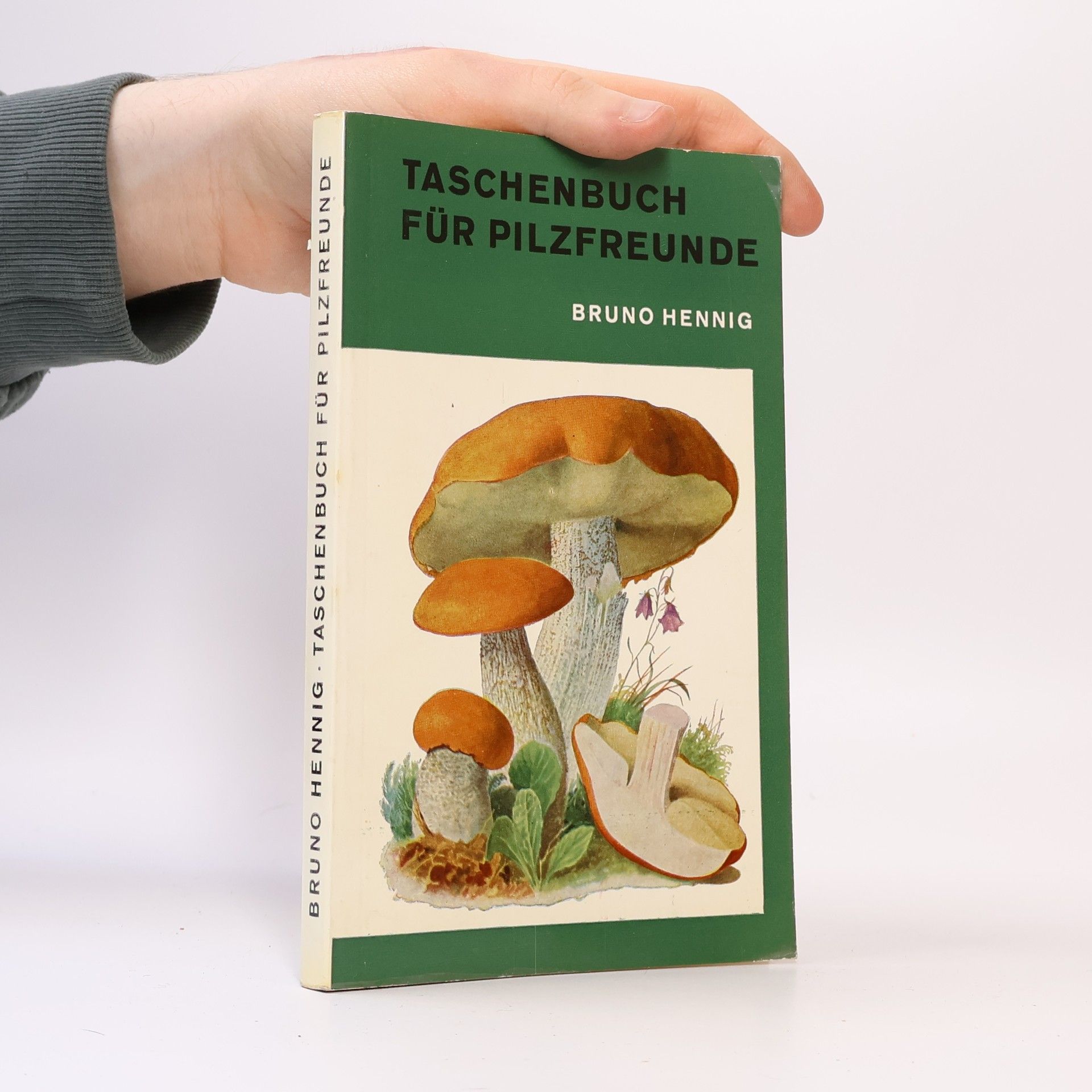 Bruno Hennig Taschenbuch für Pilzfreunde