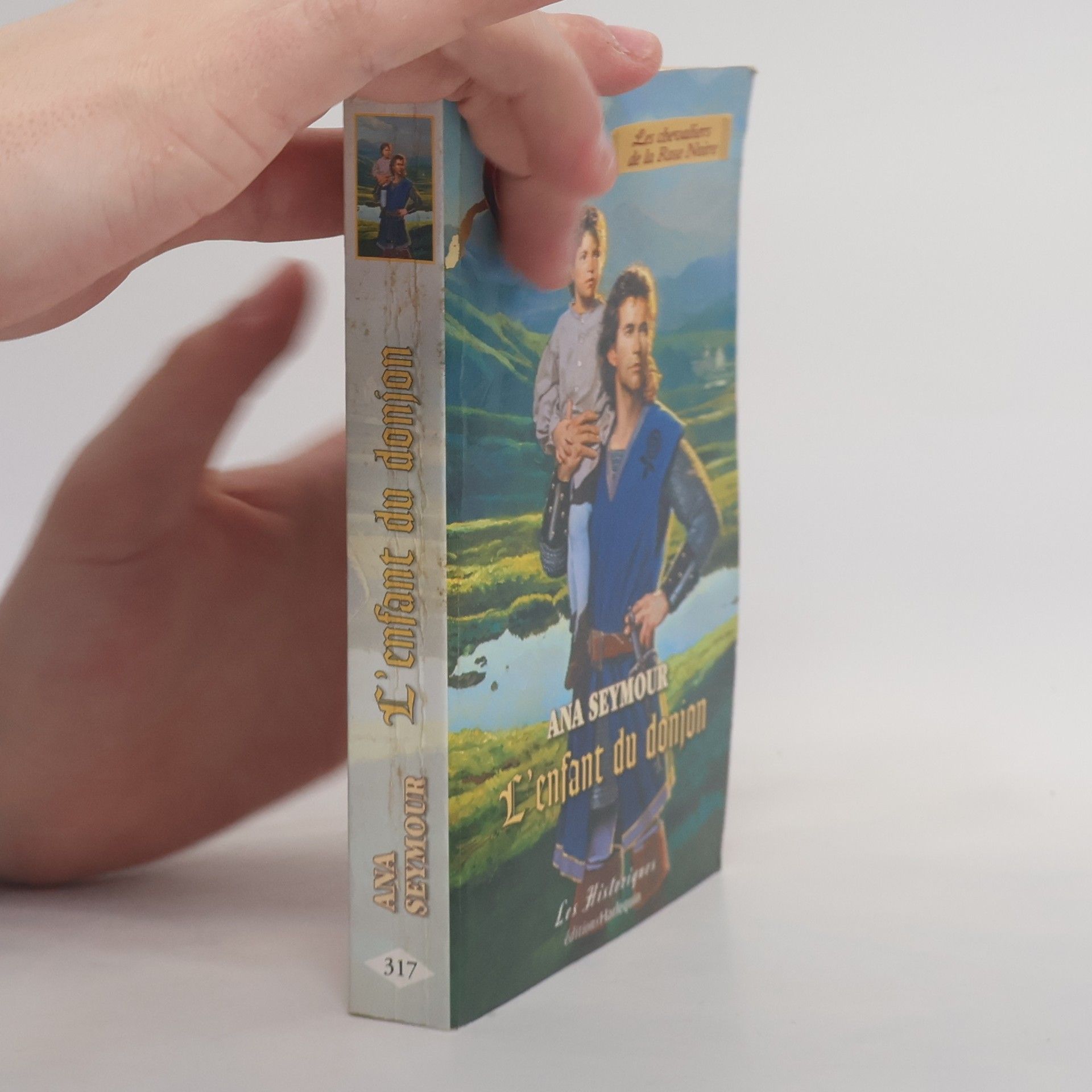Ana Seymour L'enfant du donjon